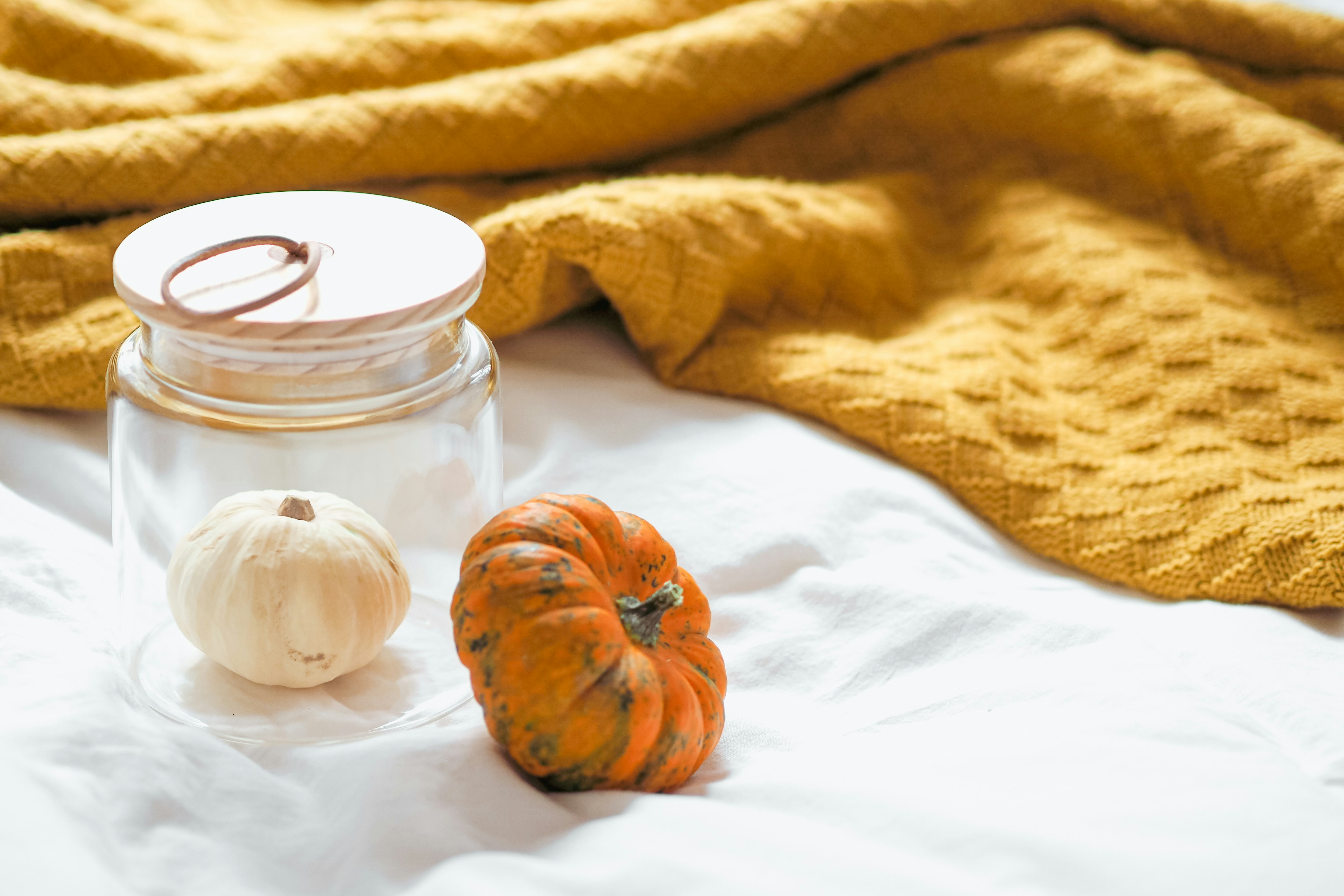 Photo by laurachouette