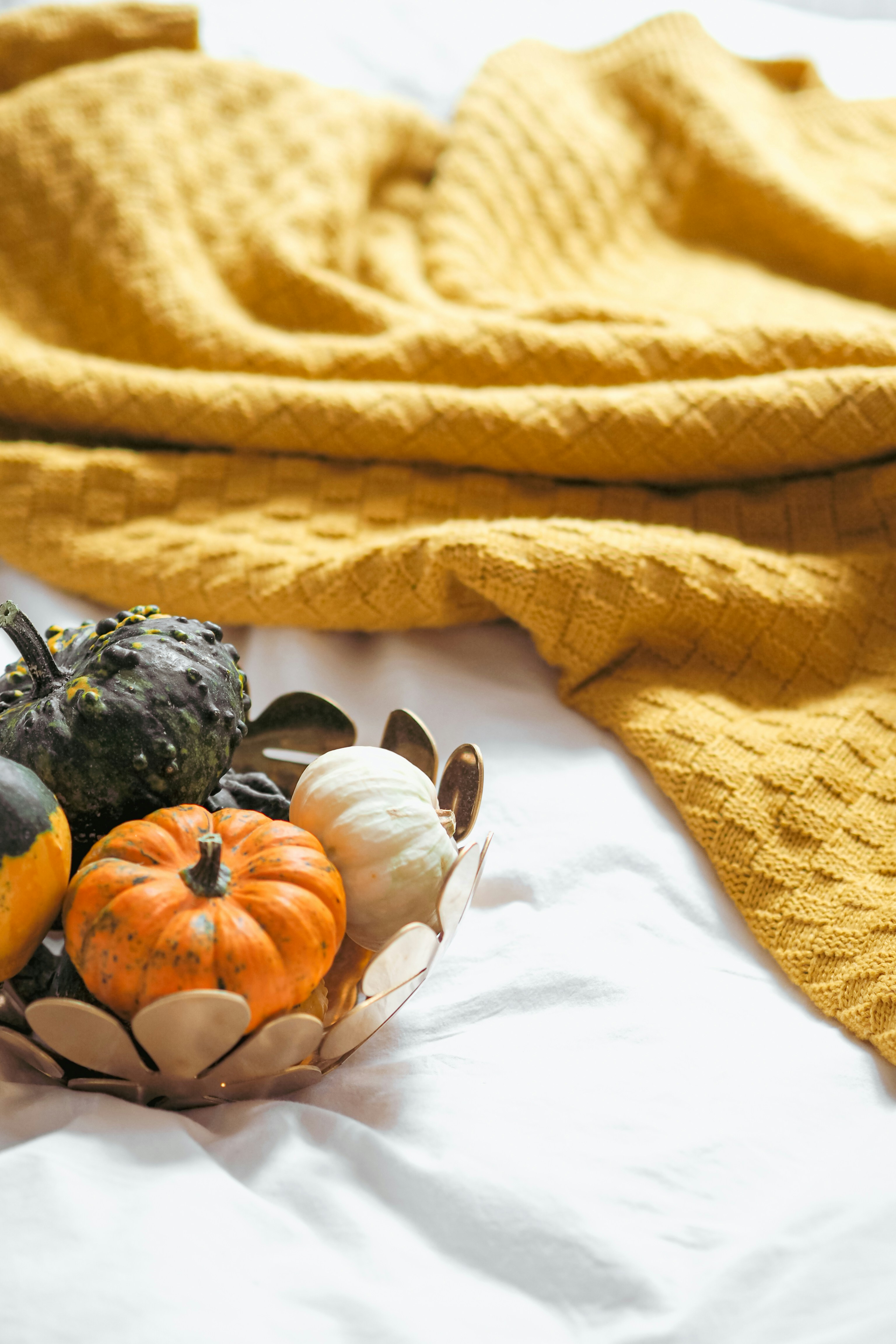 Photo by laurachouette