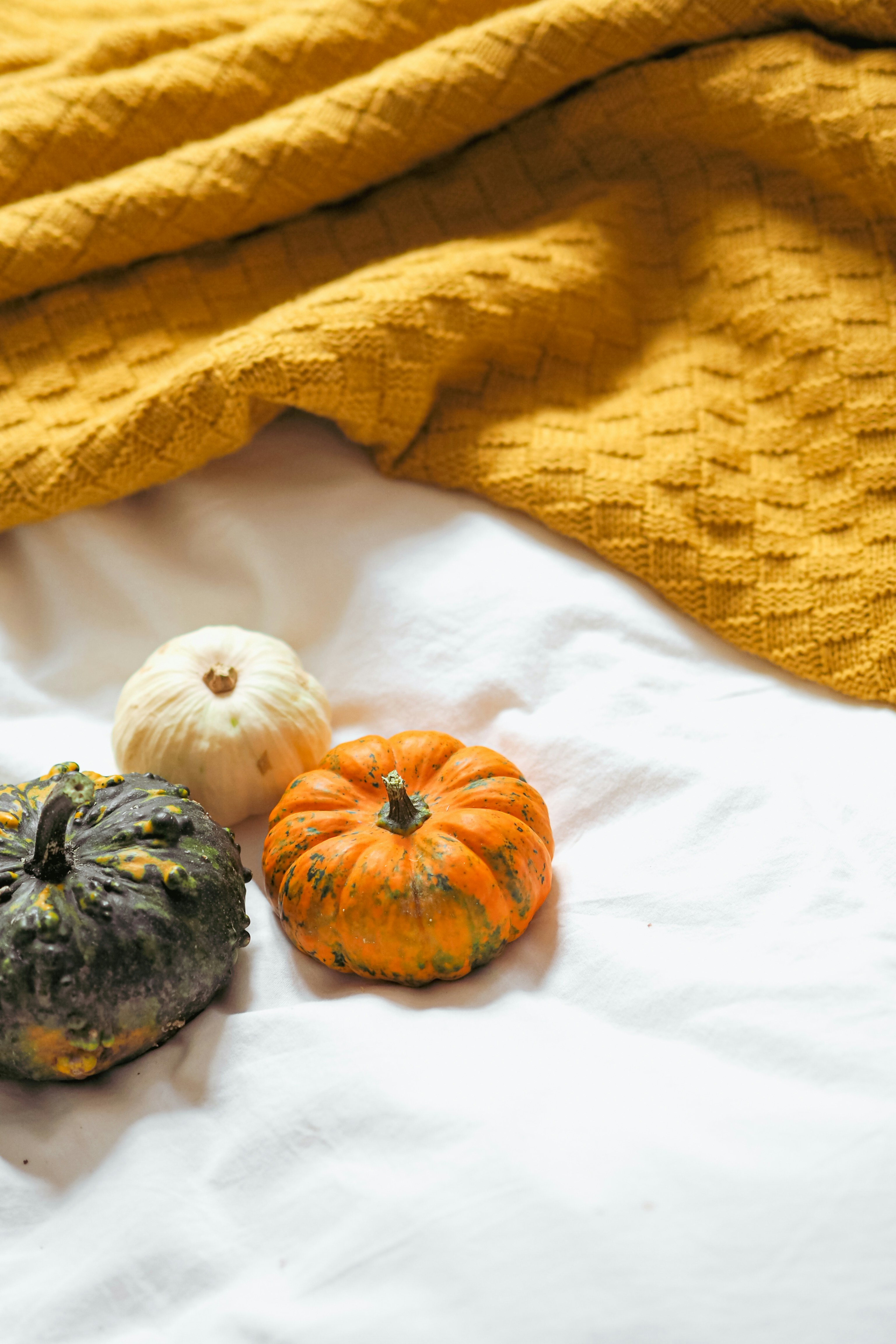 Photo by laurachouette