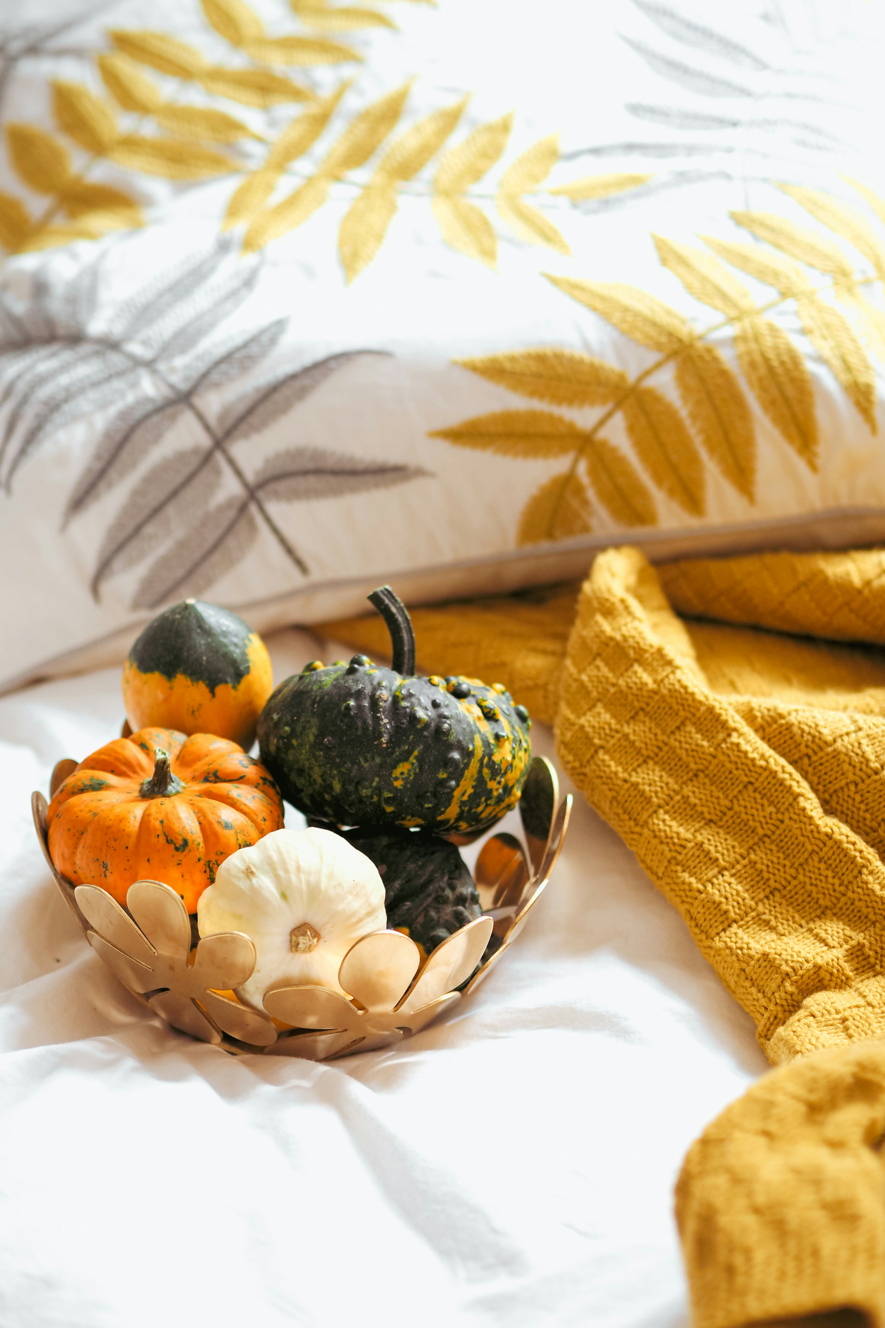 Photo by laurachouette