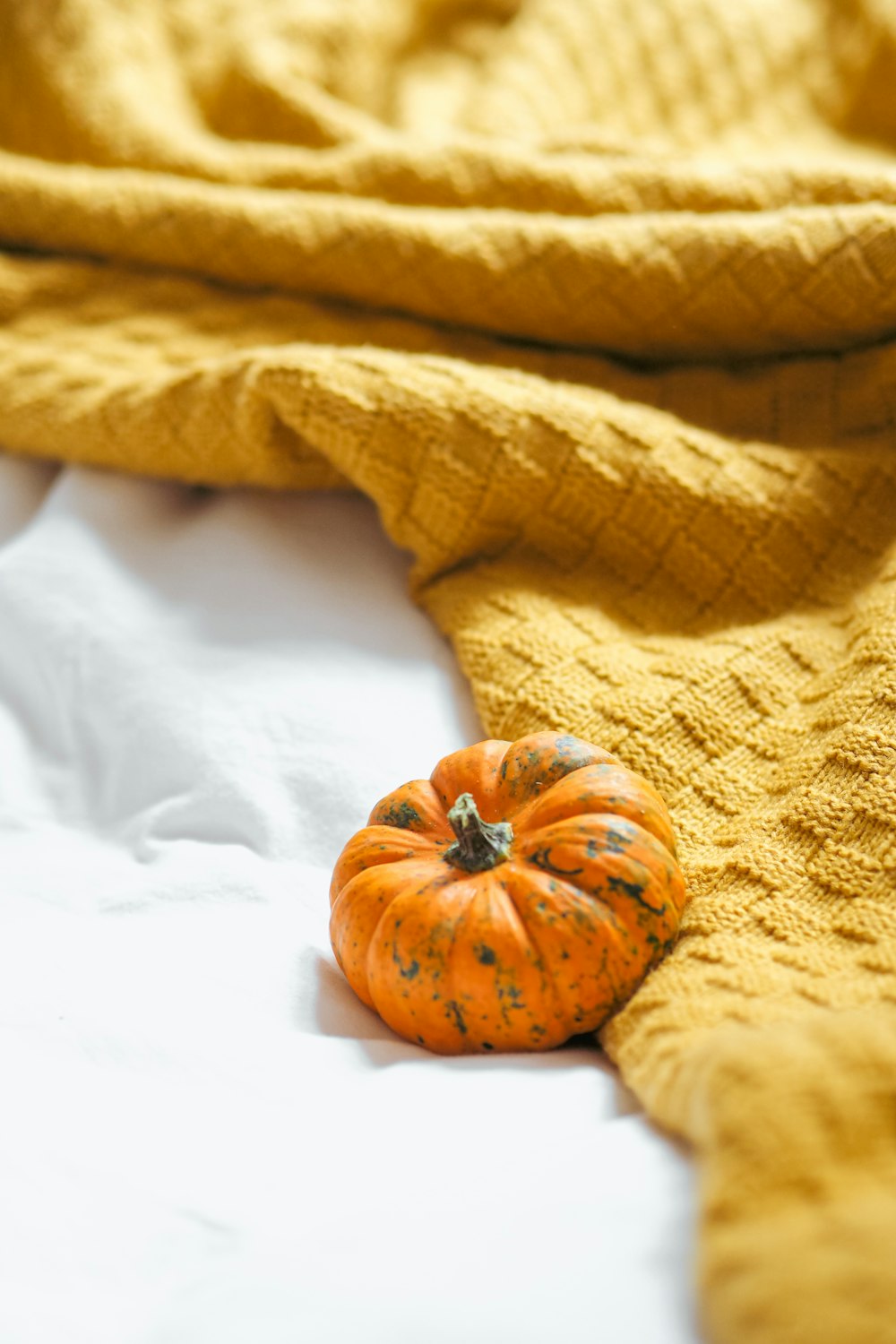 a small orange pumpkin laying on a bed