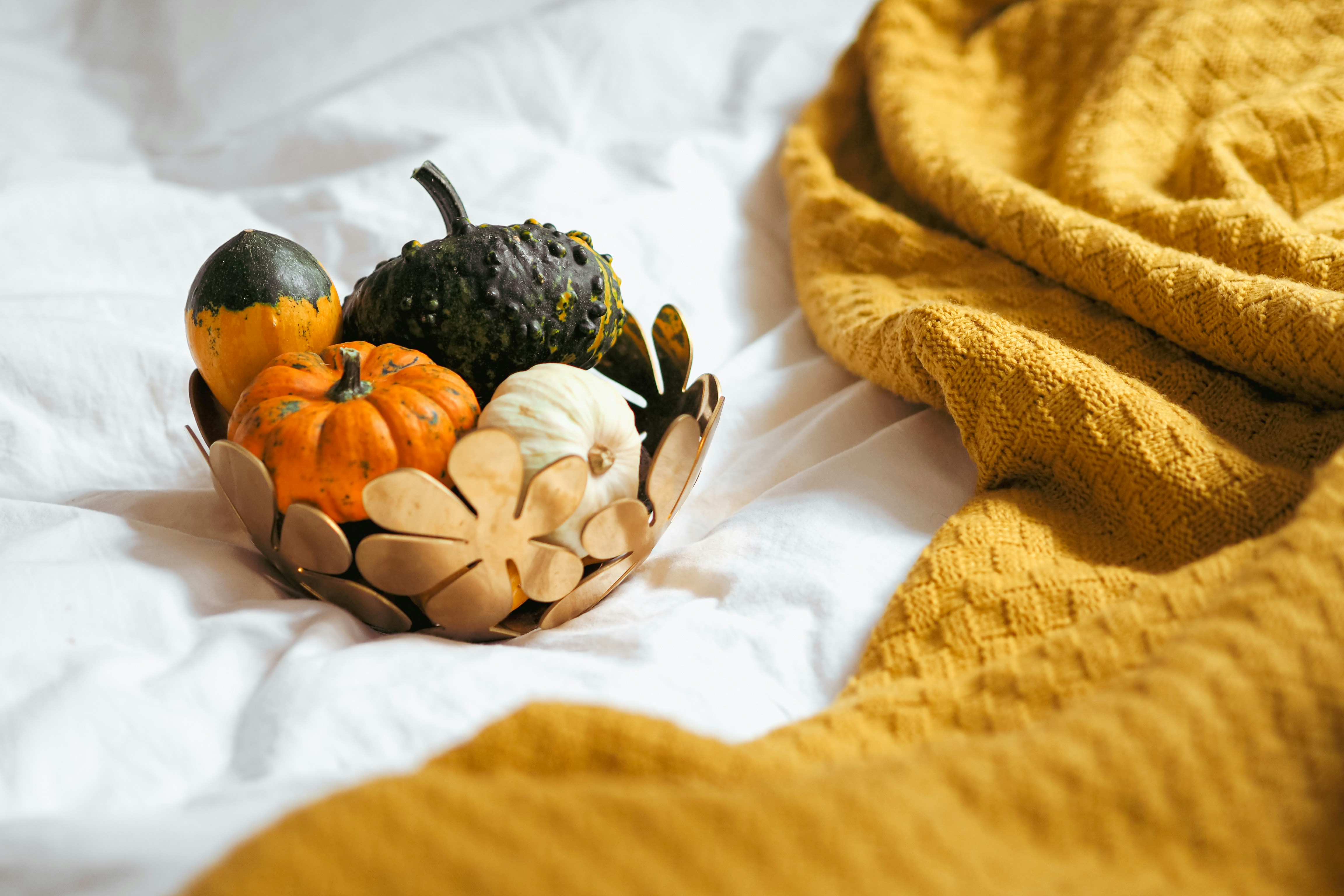 Photo by laurachouette