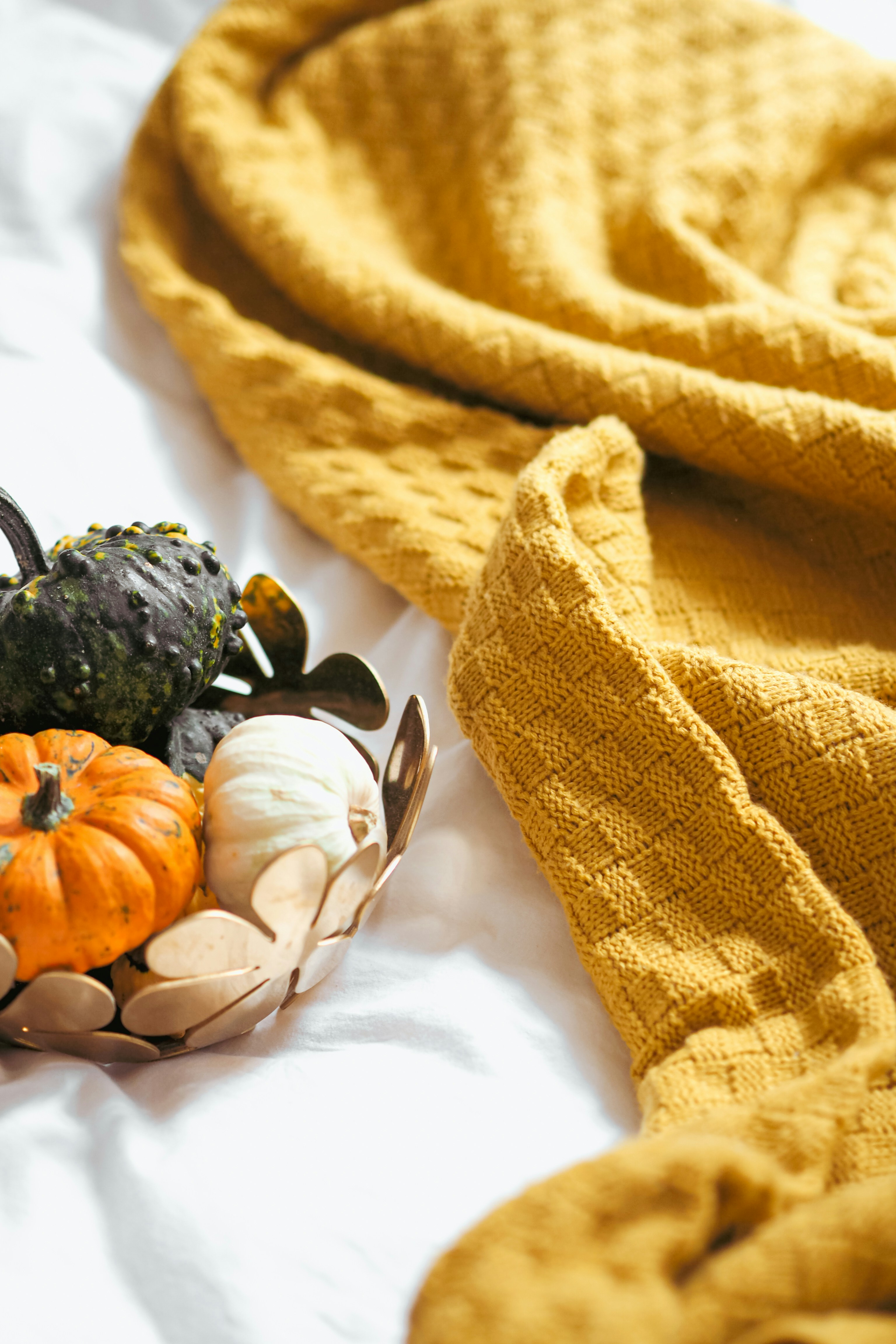 Photo by laurachouette