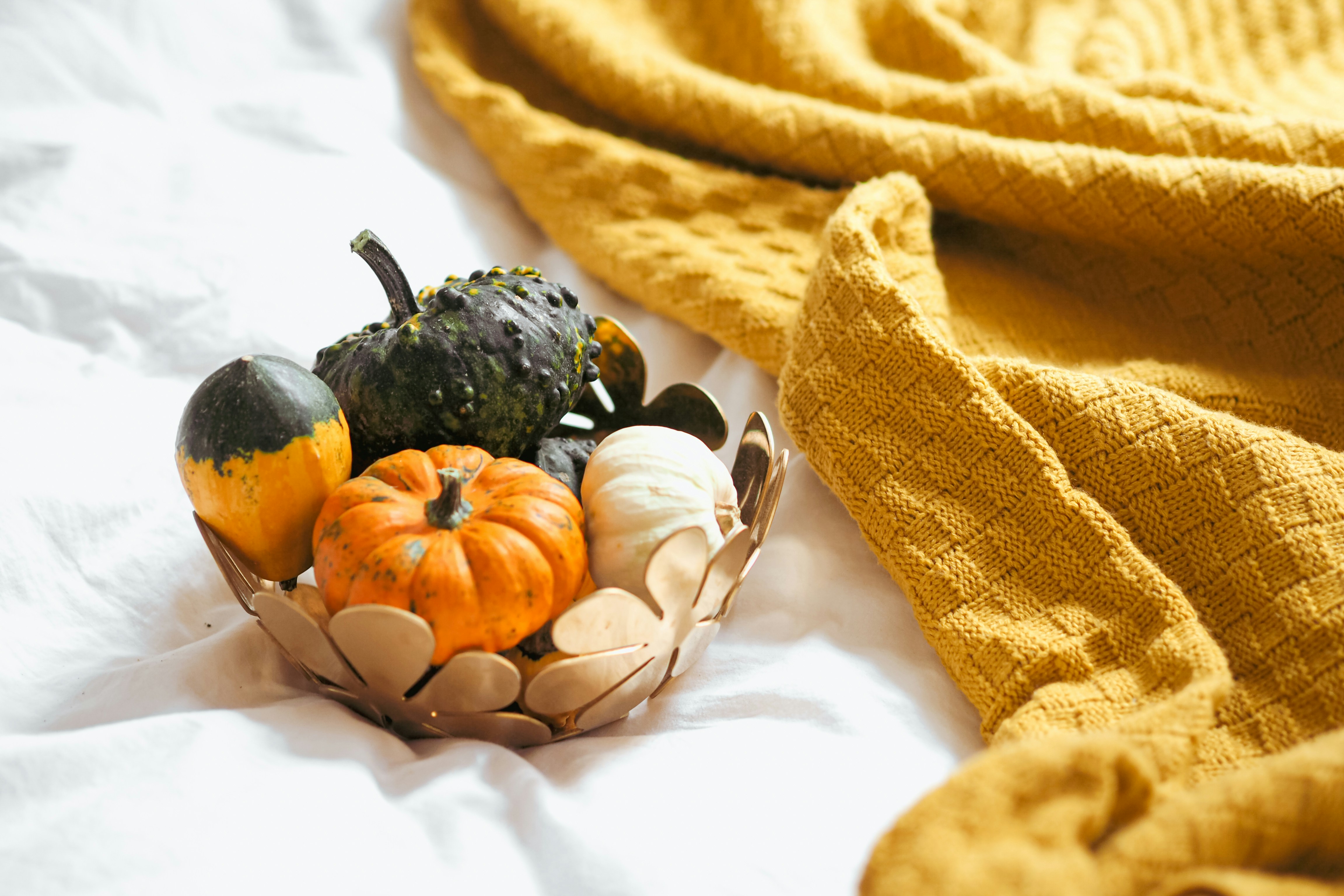 Photo by laurachouette