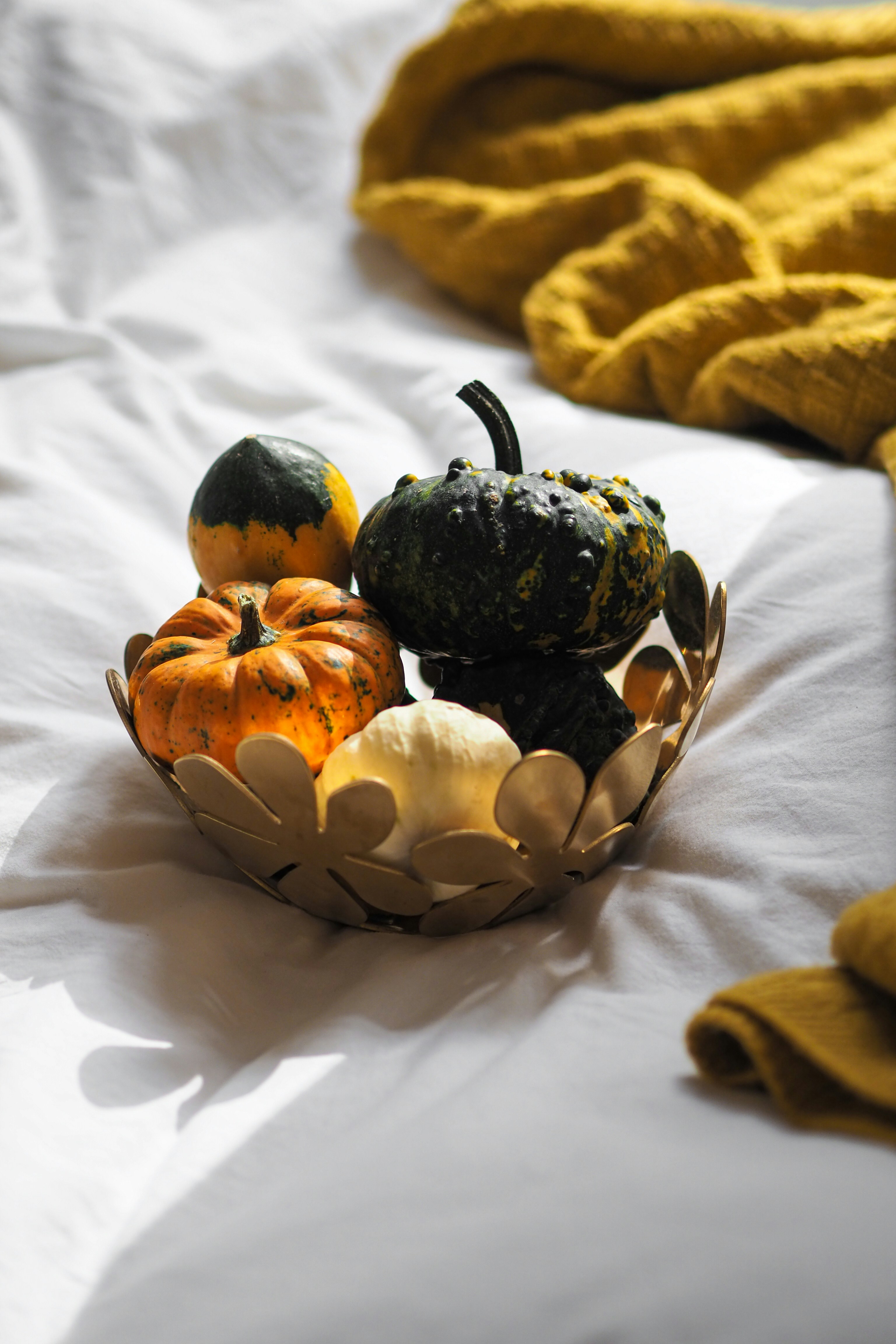 Photo by laurachouette