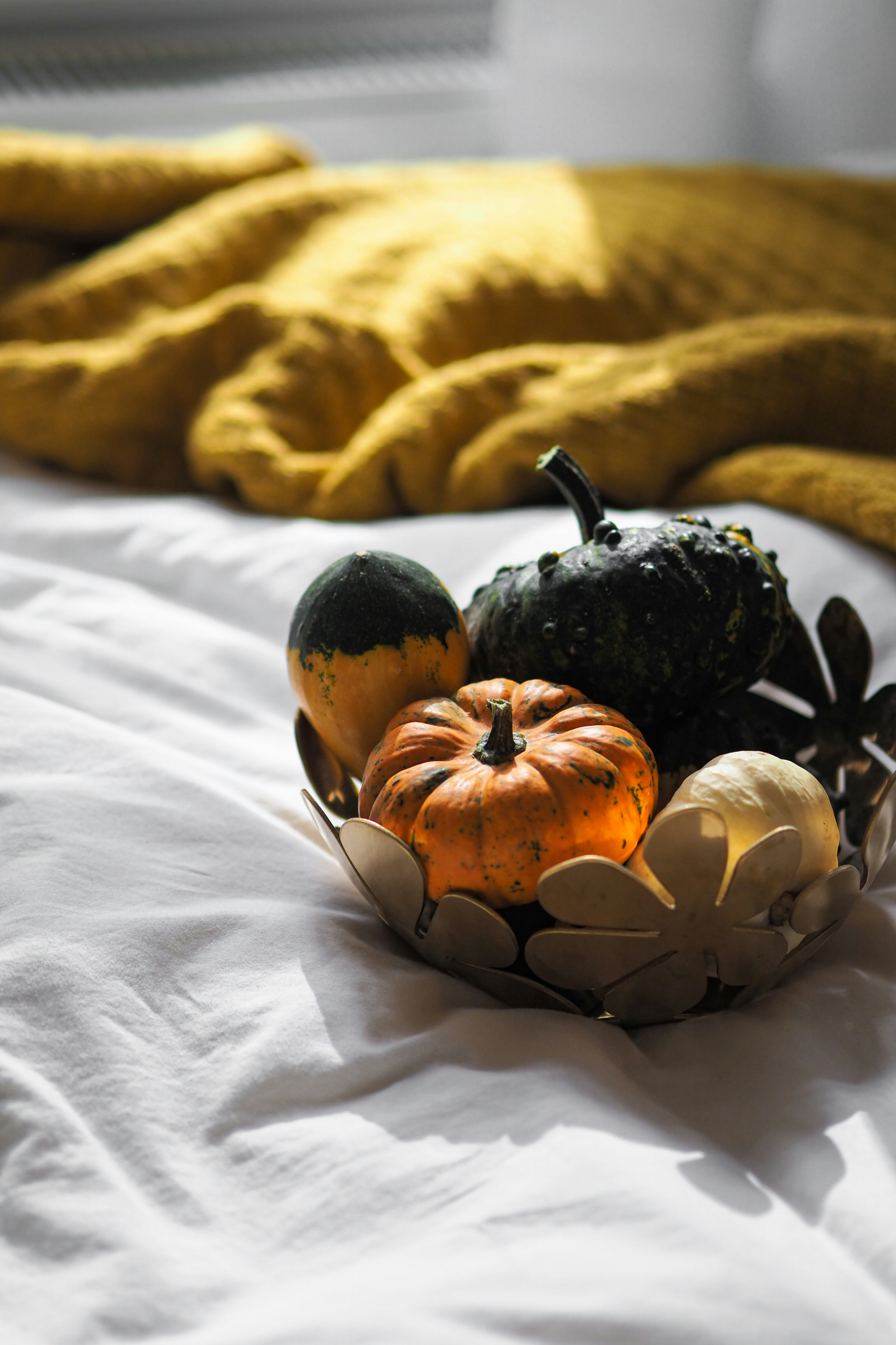 Photo by laurachouette