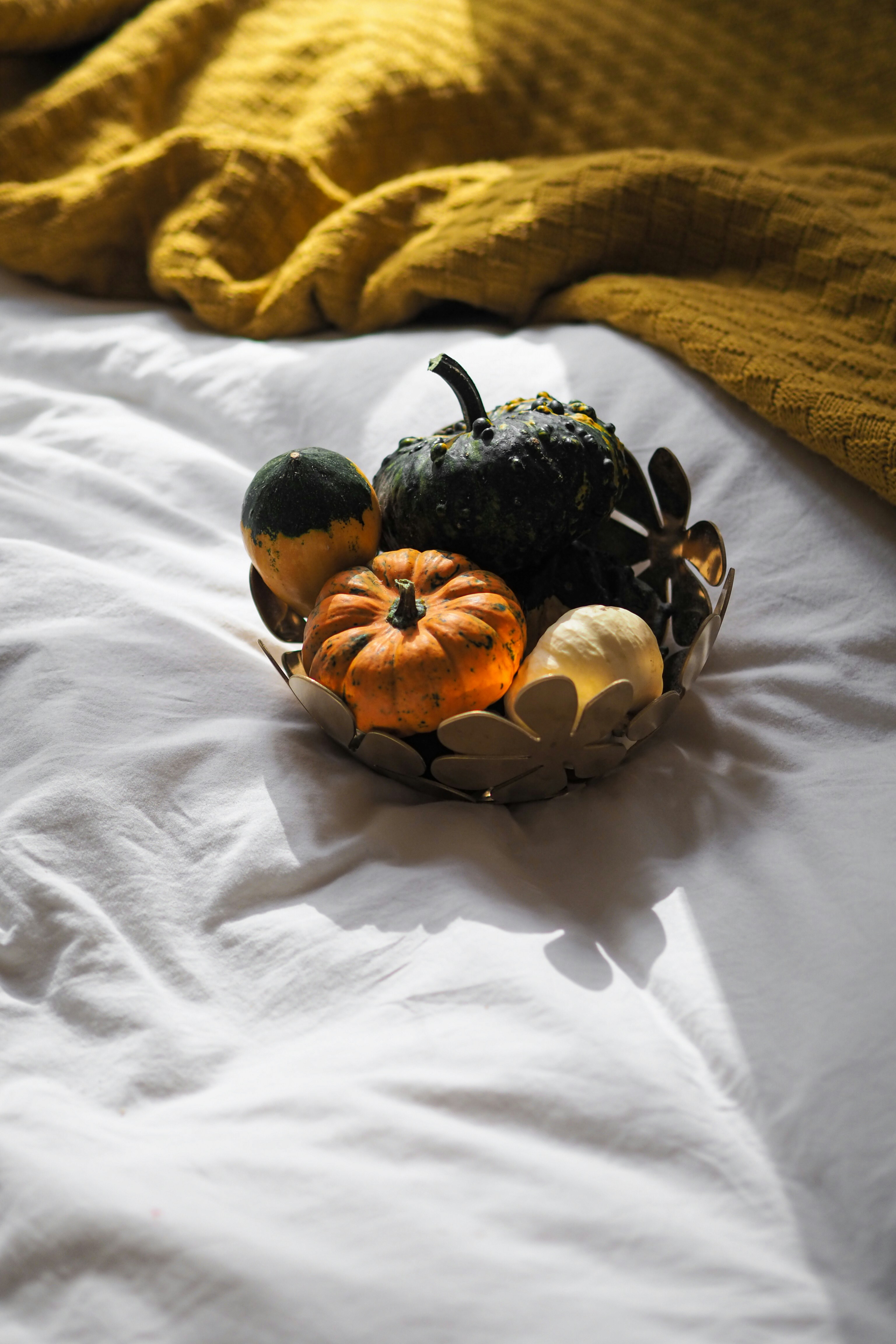 Photo by laurachouette