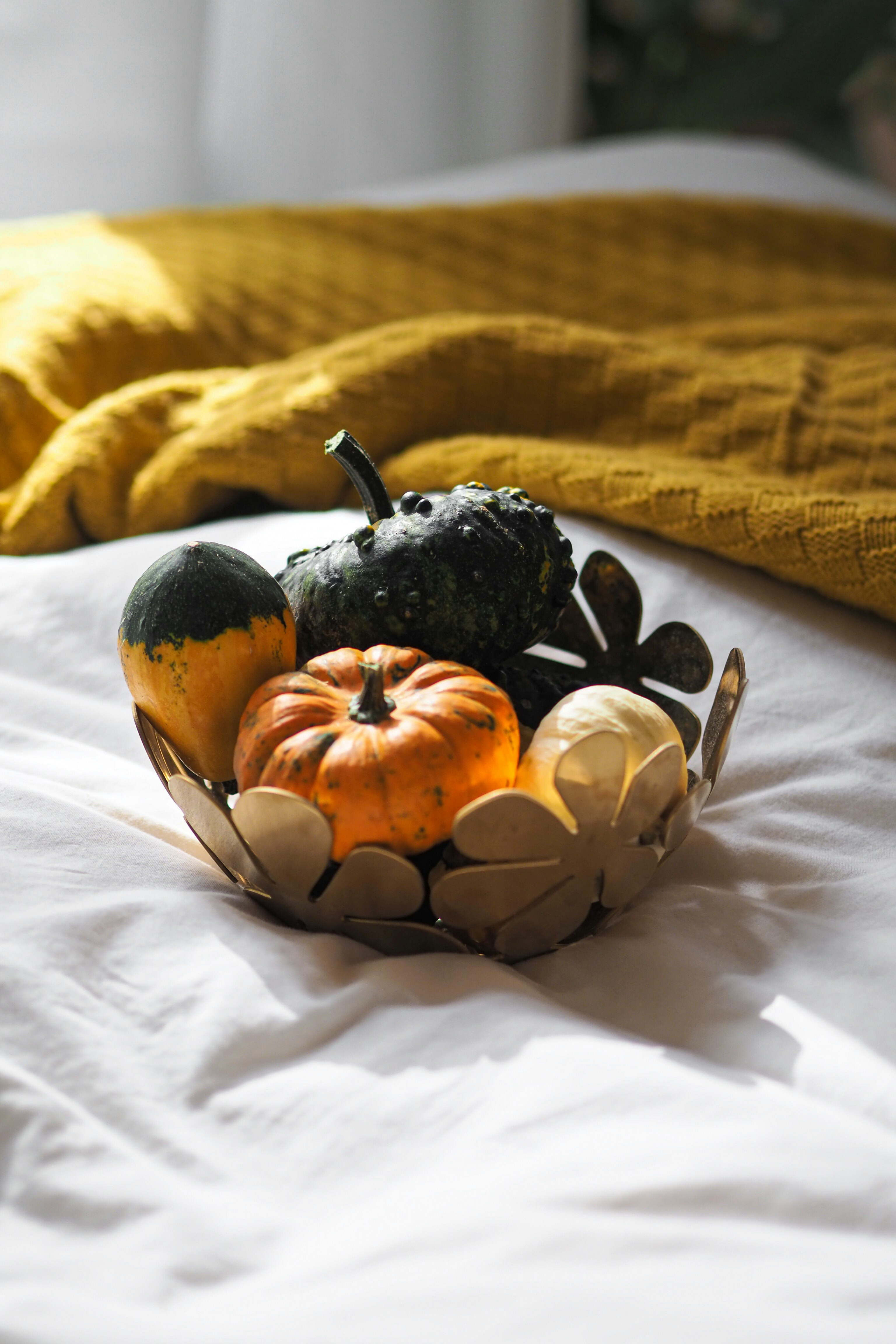 Photo by laurachouette