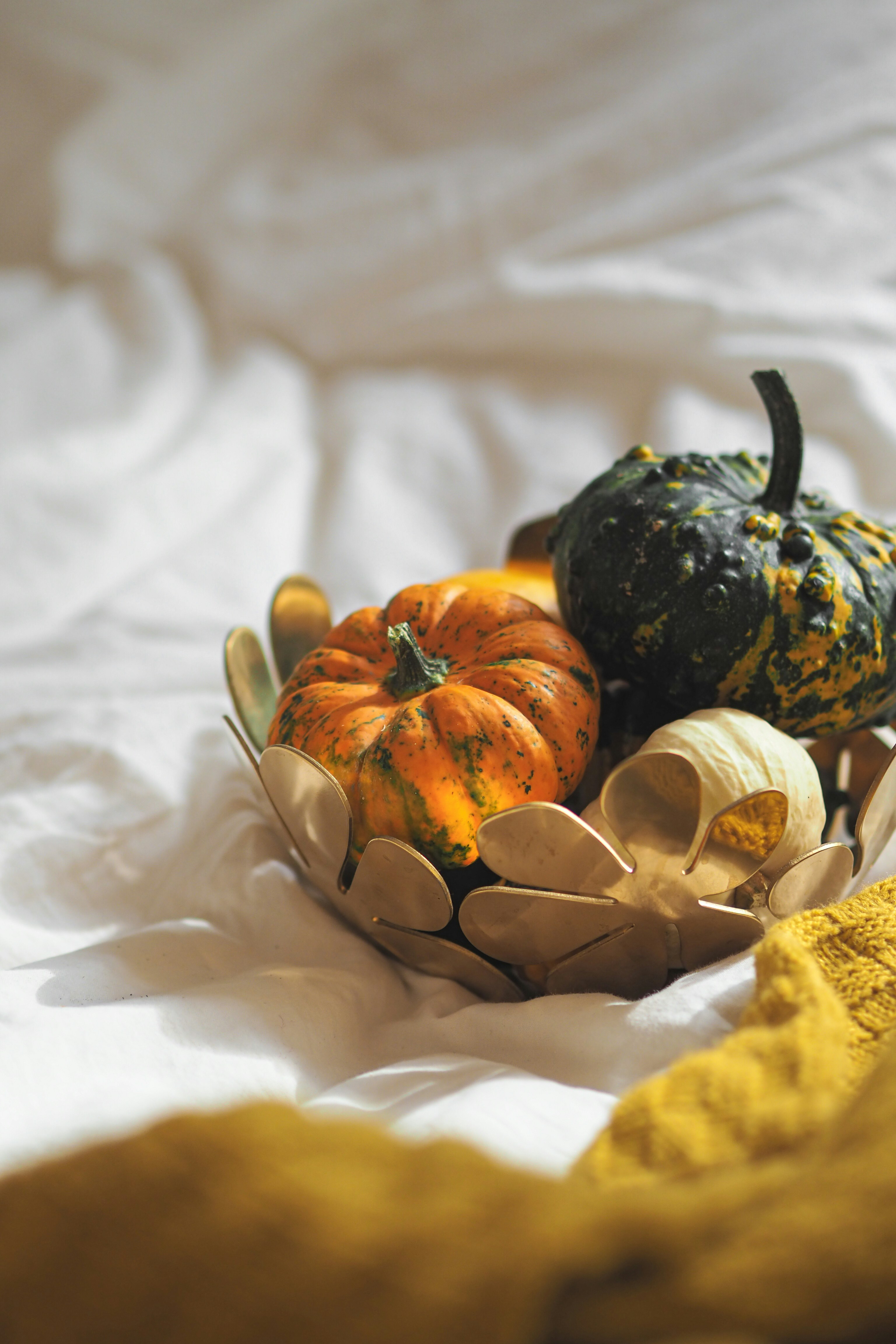 Photo by laurachouette