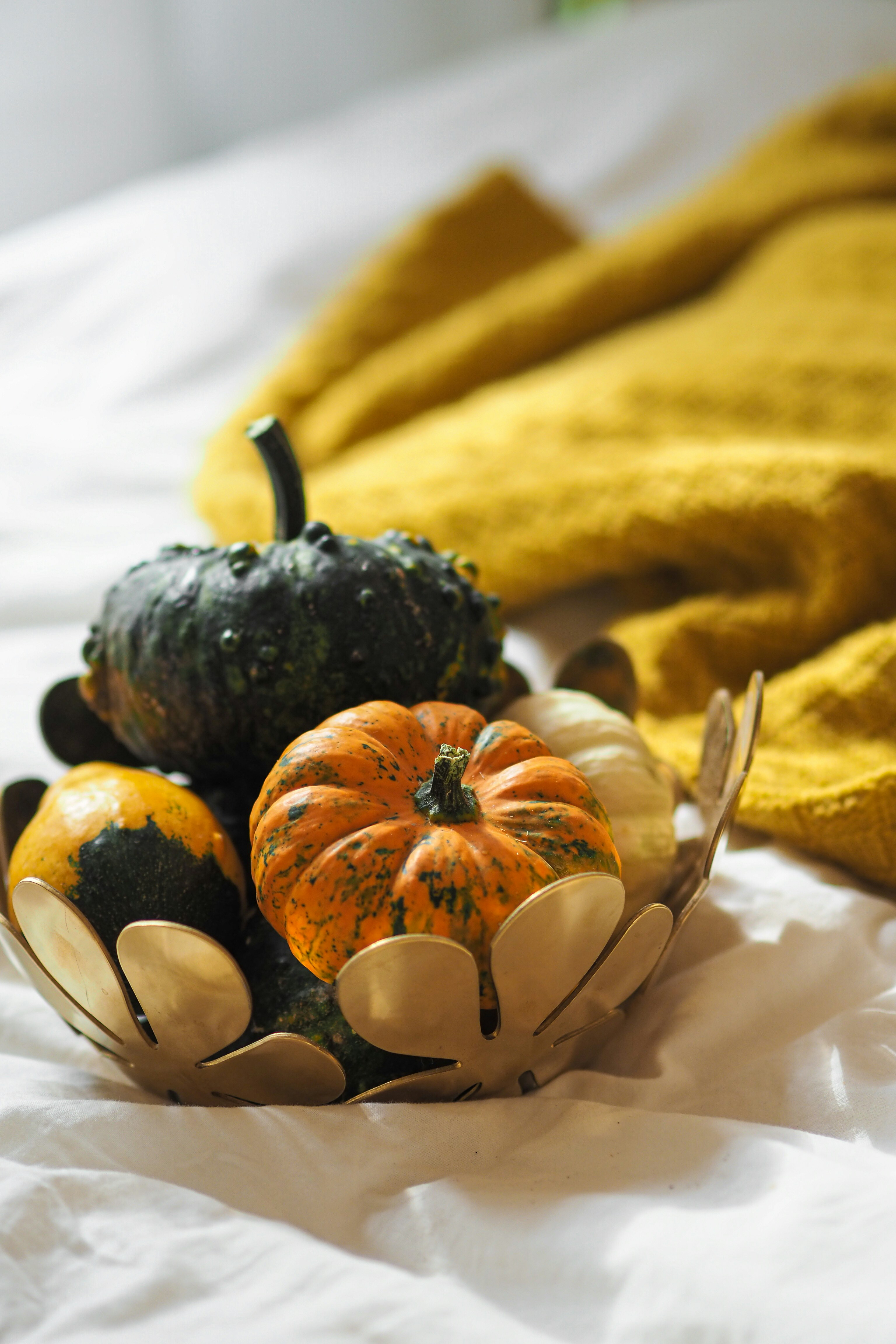 Photo by laurachouette