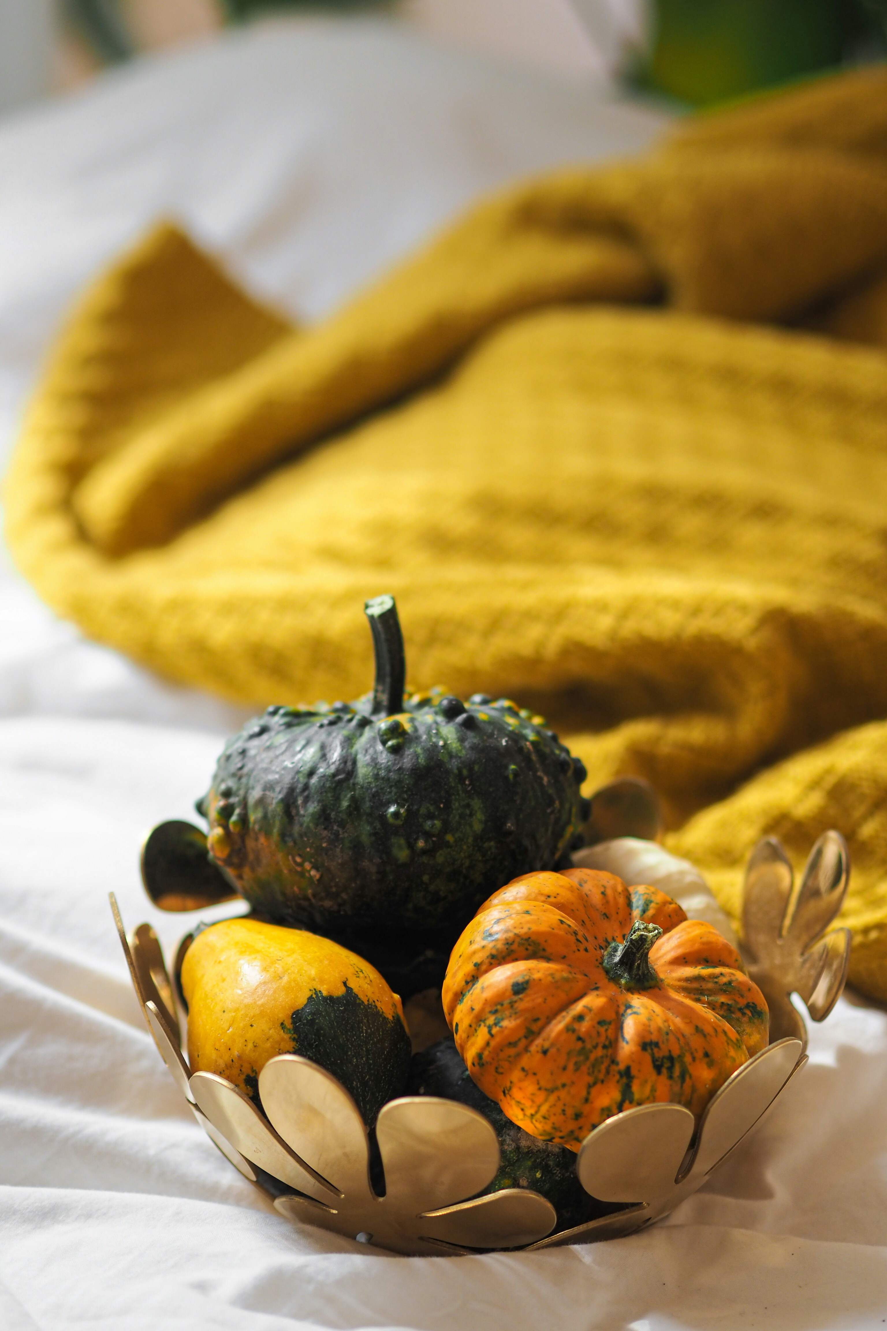 Photo by laurachouette