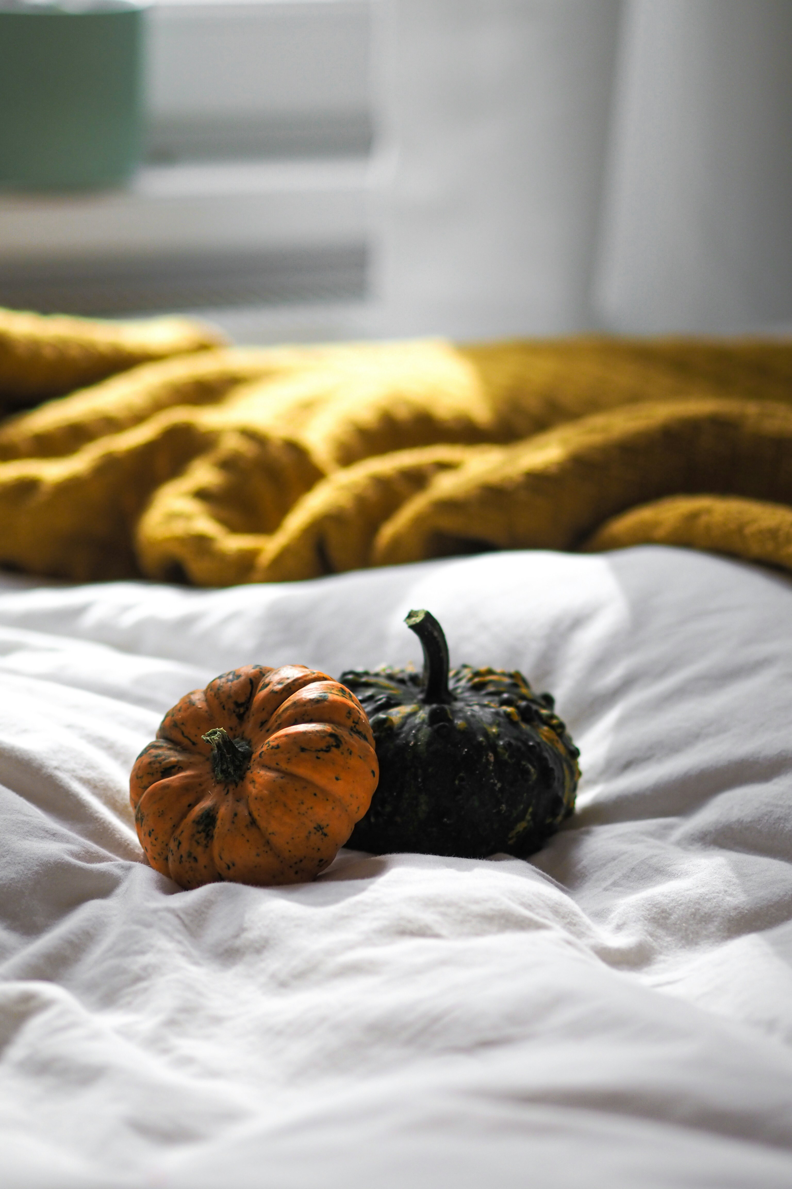 Photo by laurachouette