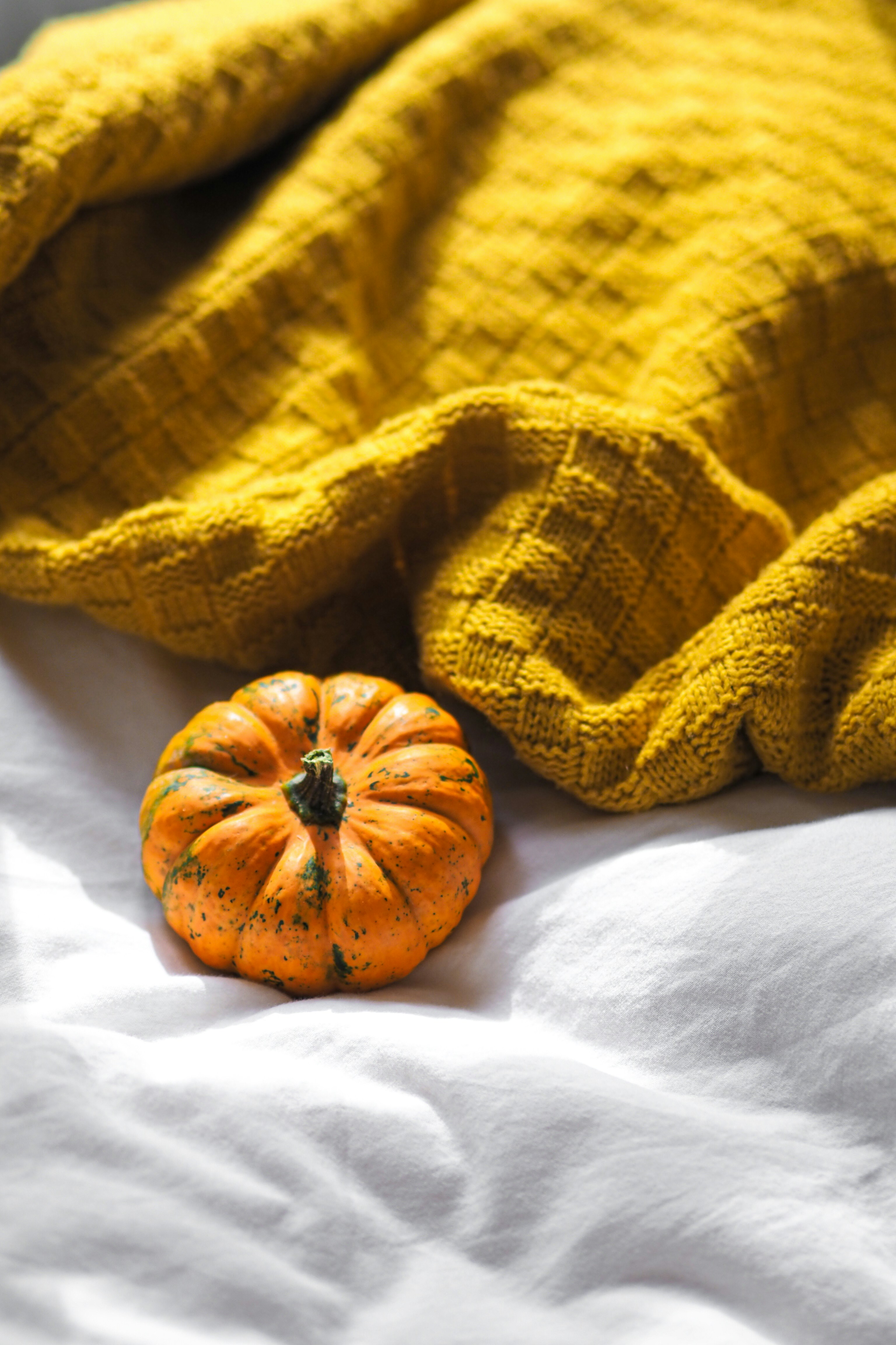 Photo by laurachouette