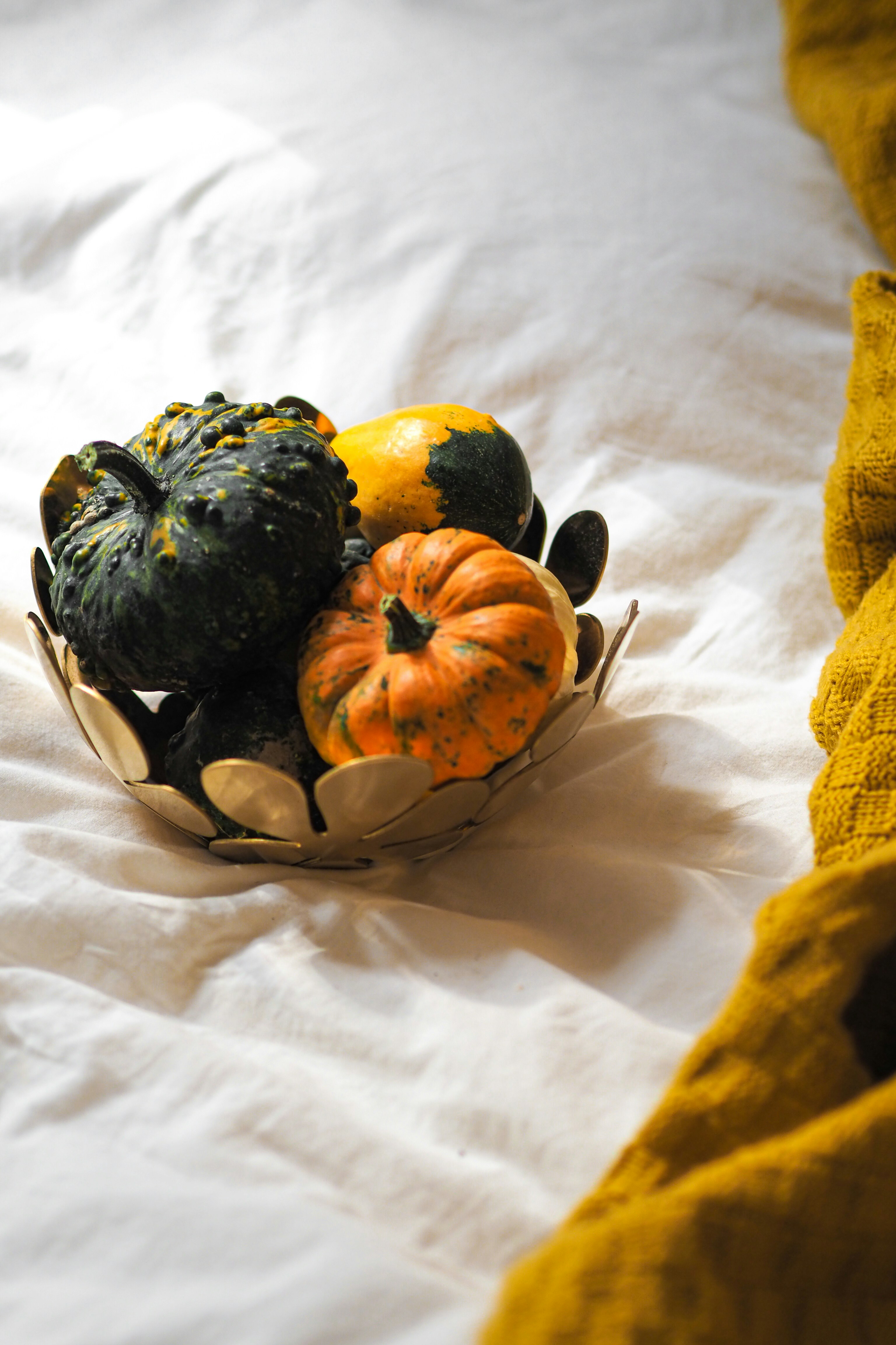 Photo by laurachouette