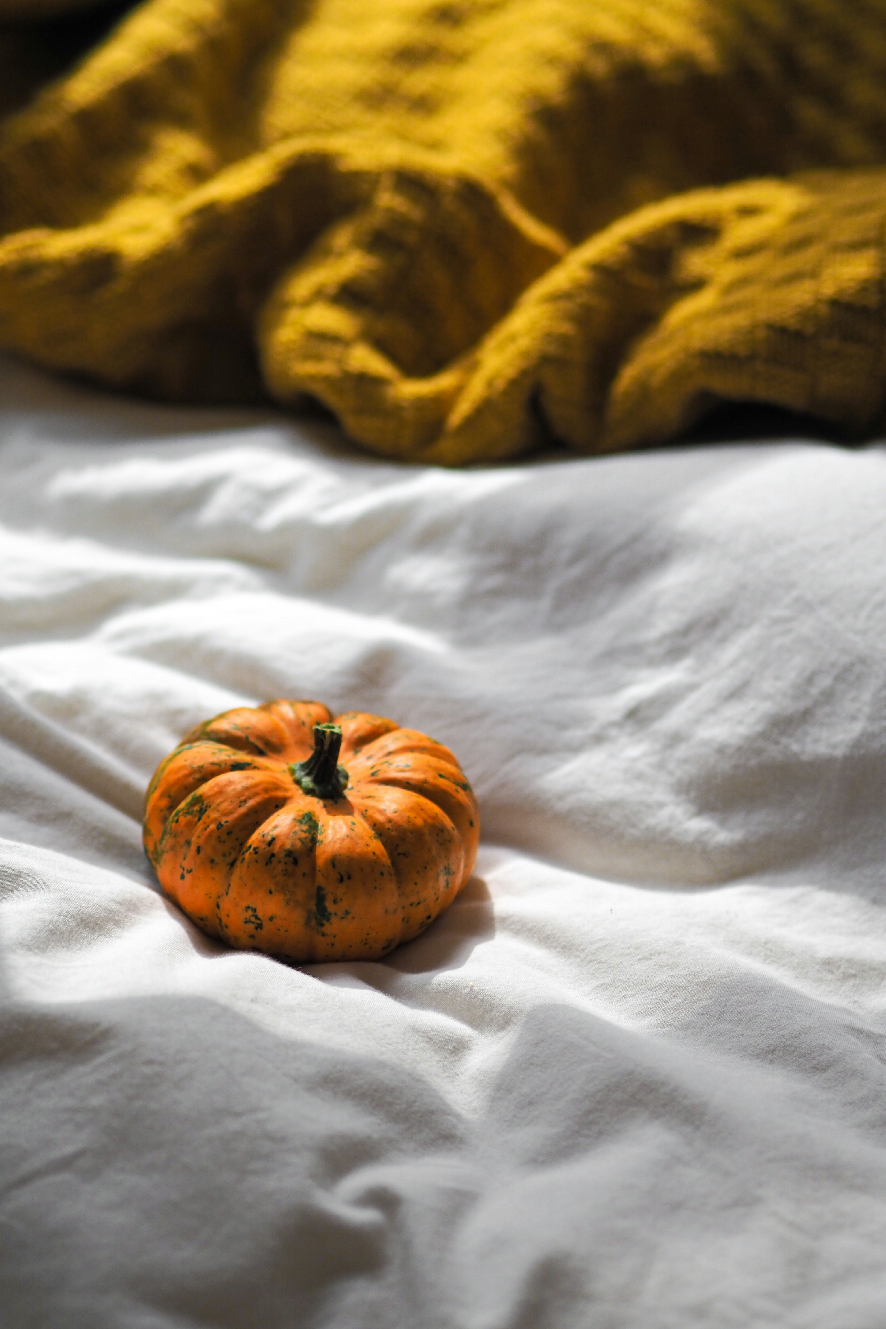 Photo by laurachouette