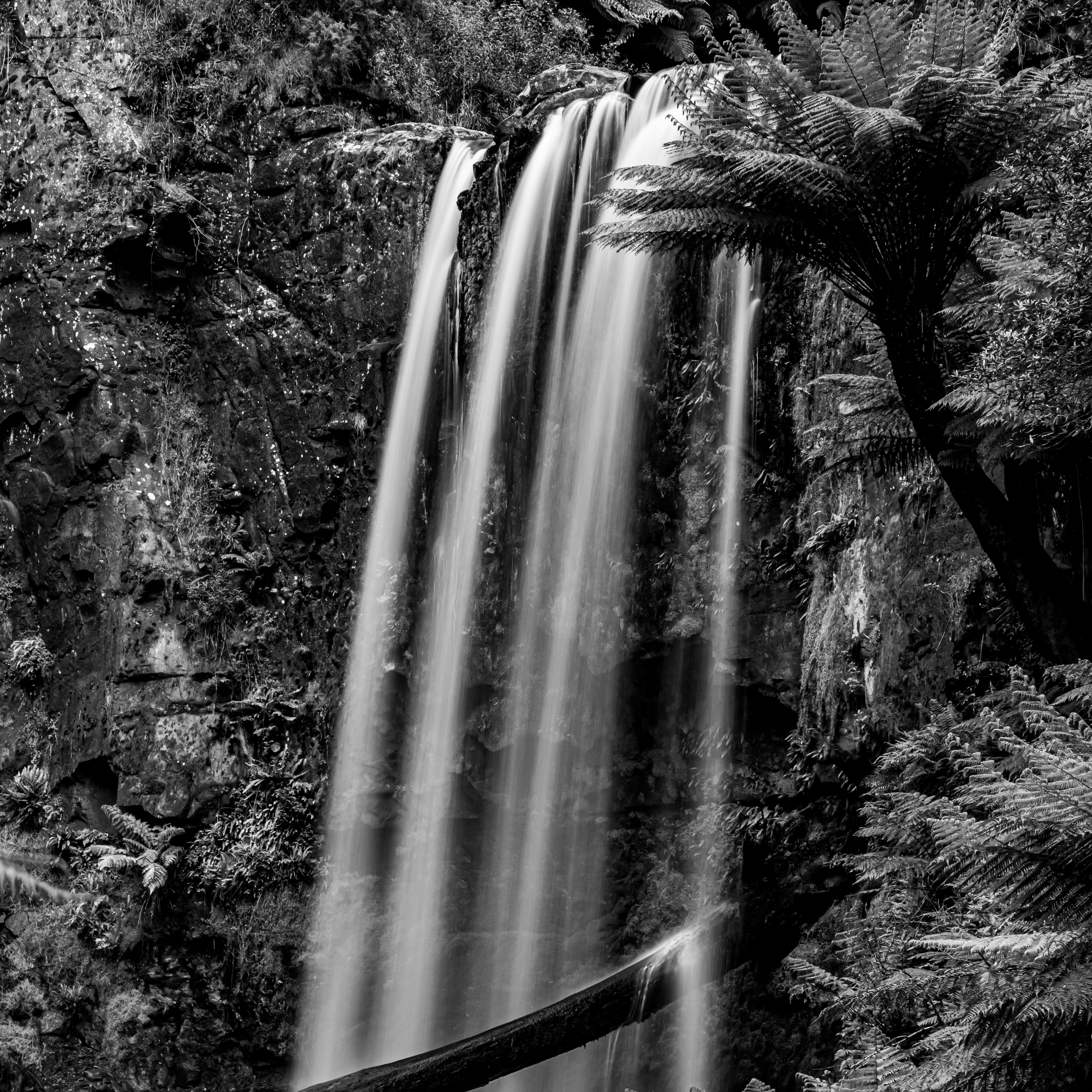 Photo by bennettsark