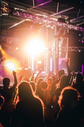 a crowd of people at a concert with their hands in the air