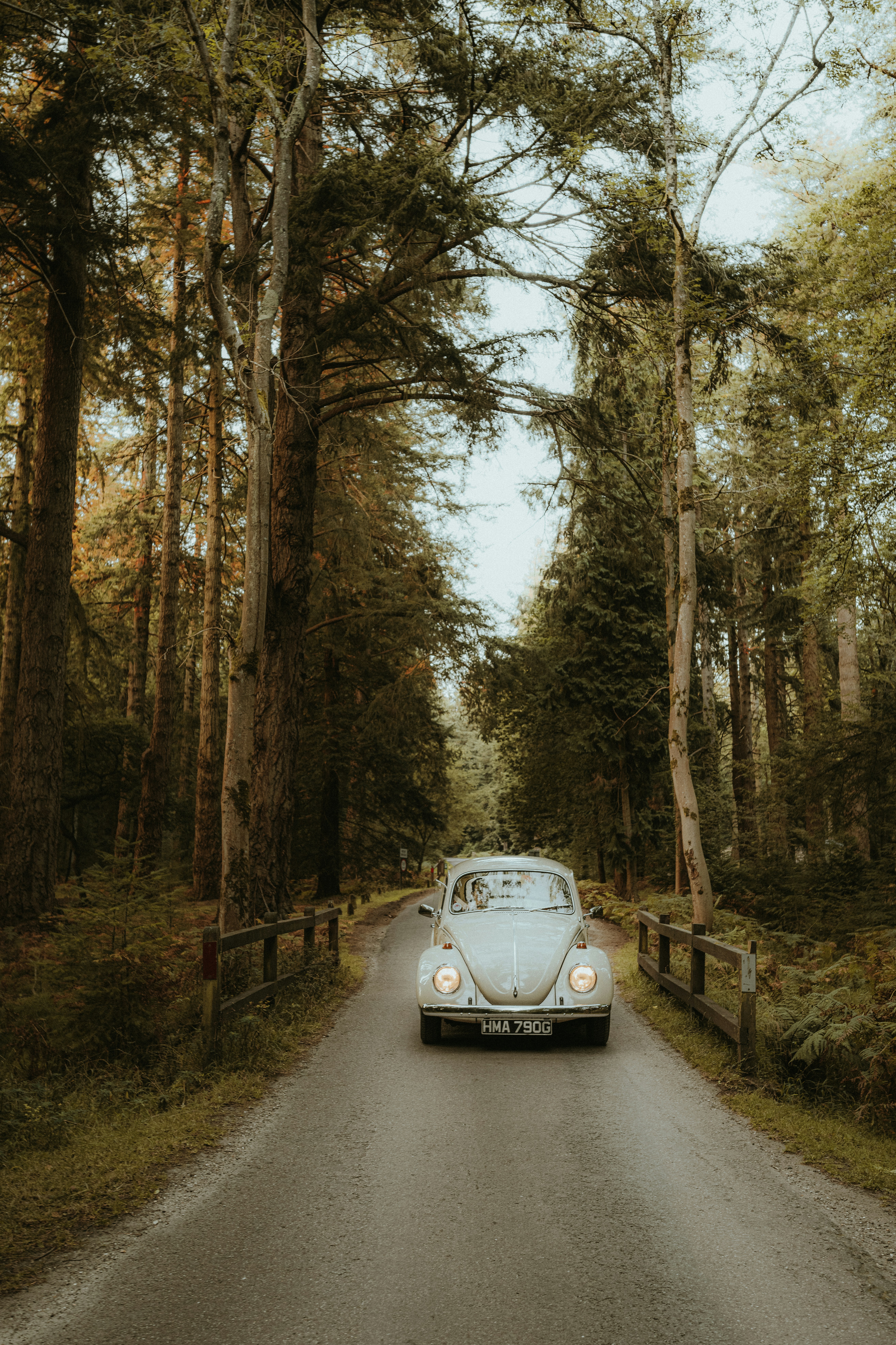 Photo by anniespratt