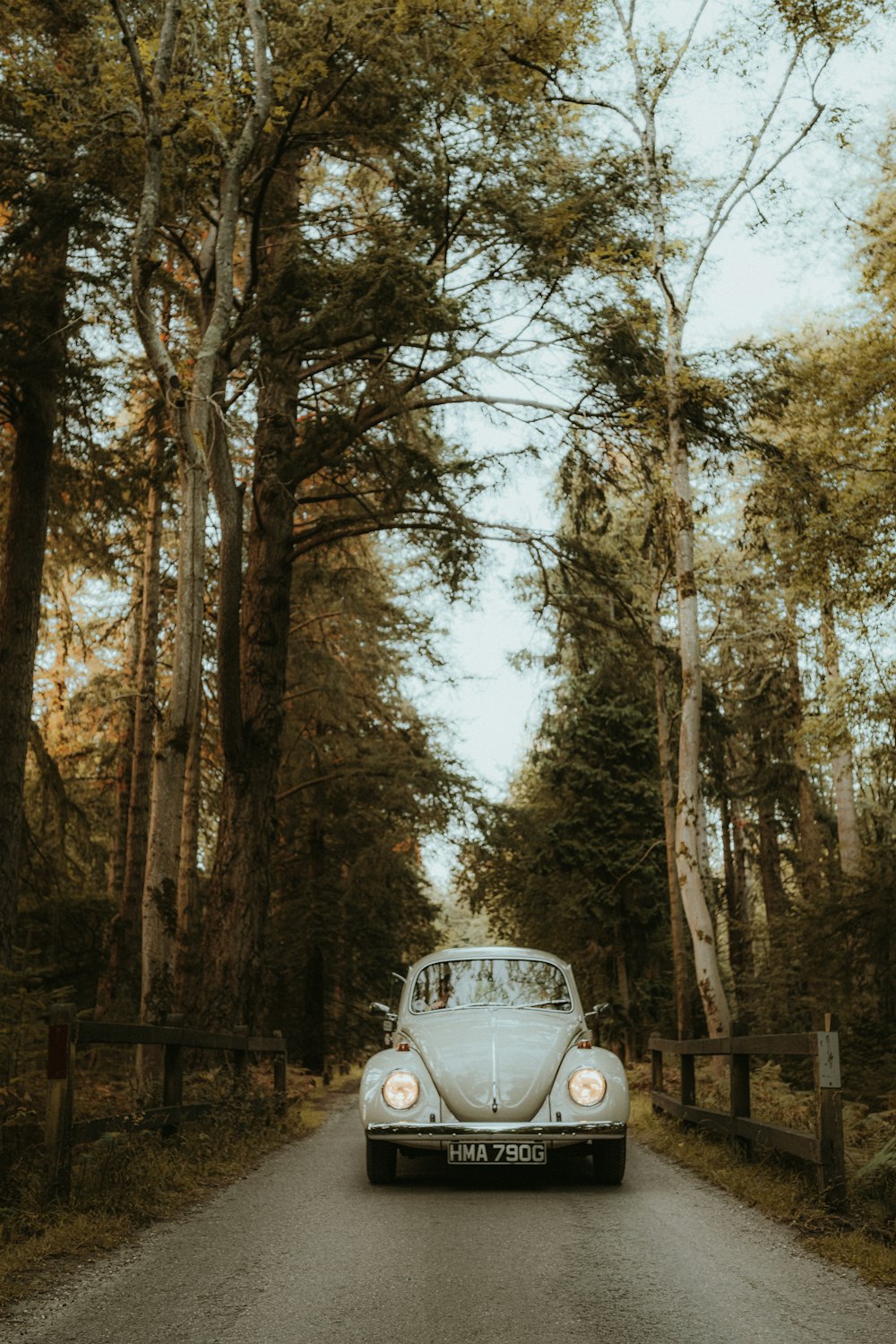 a white car driving down a tree lined road
