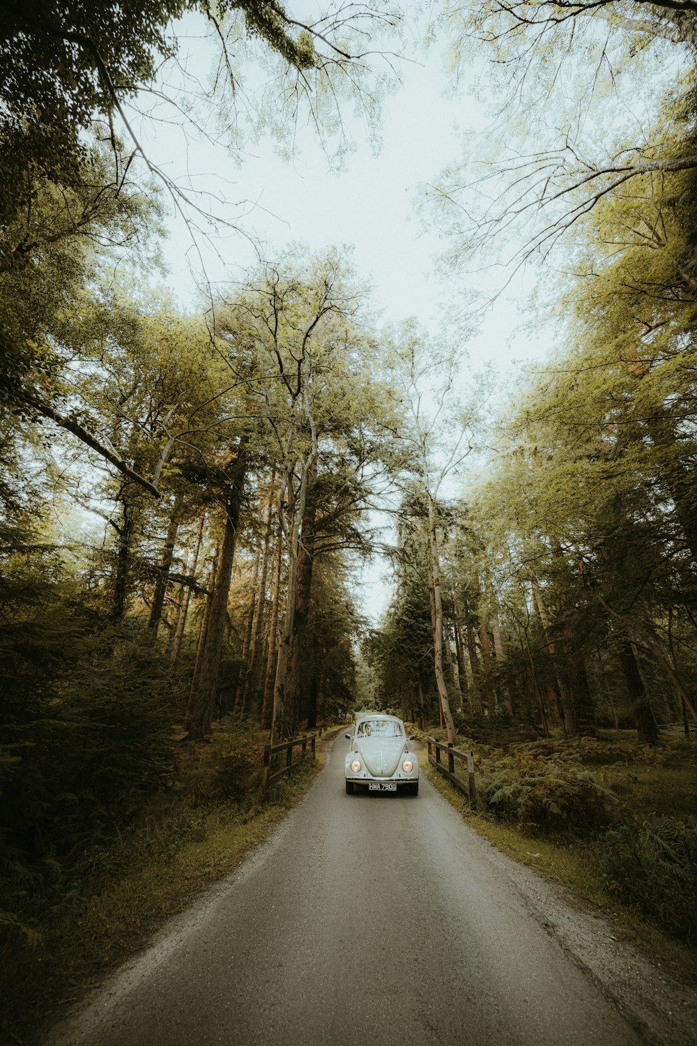 a car driving down a road surrounded by trees