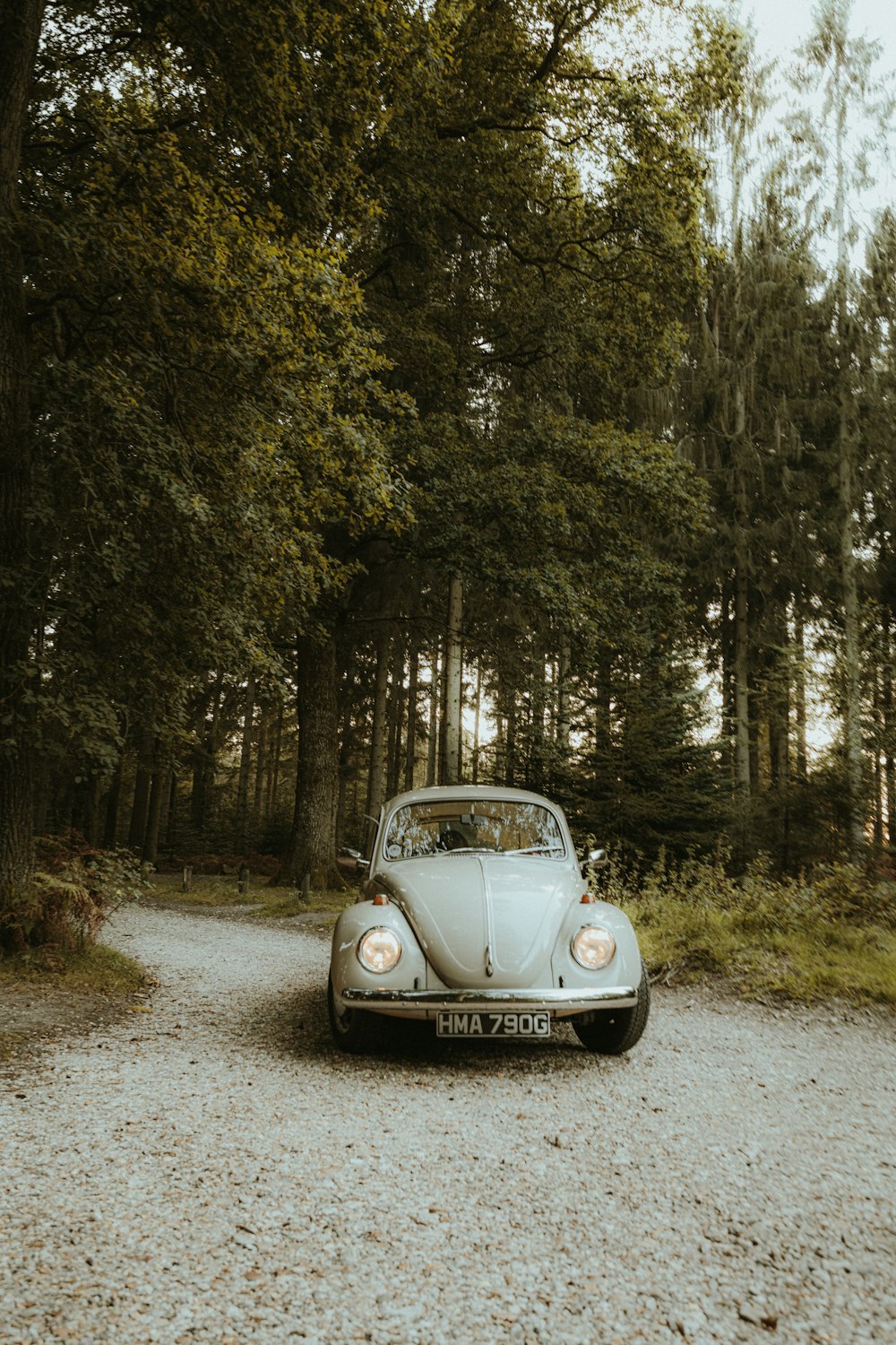 a car parked on a gravel road in the woods