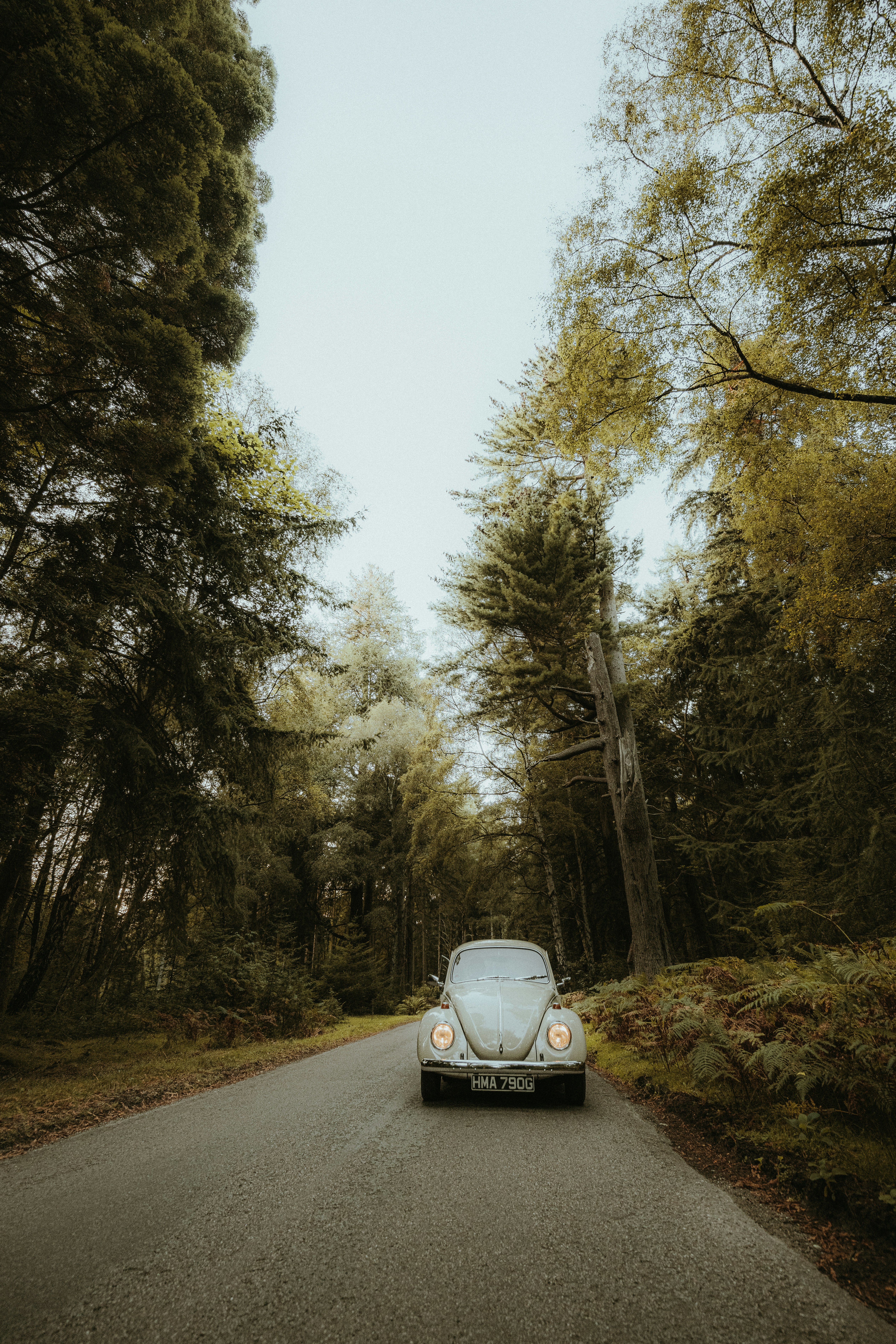 Photo by anniespratt