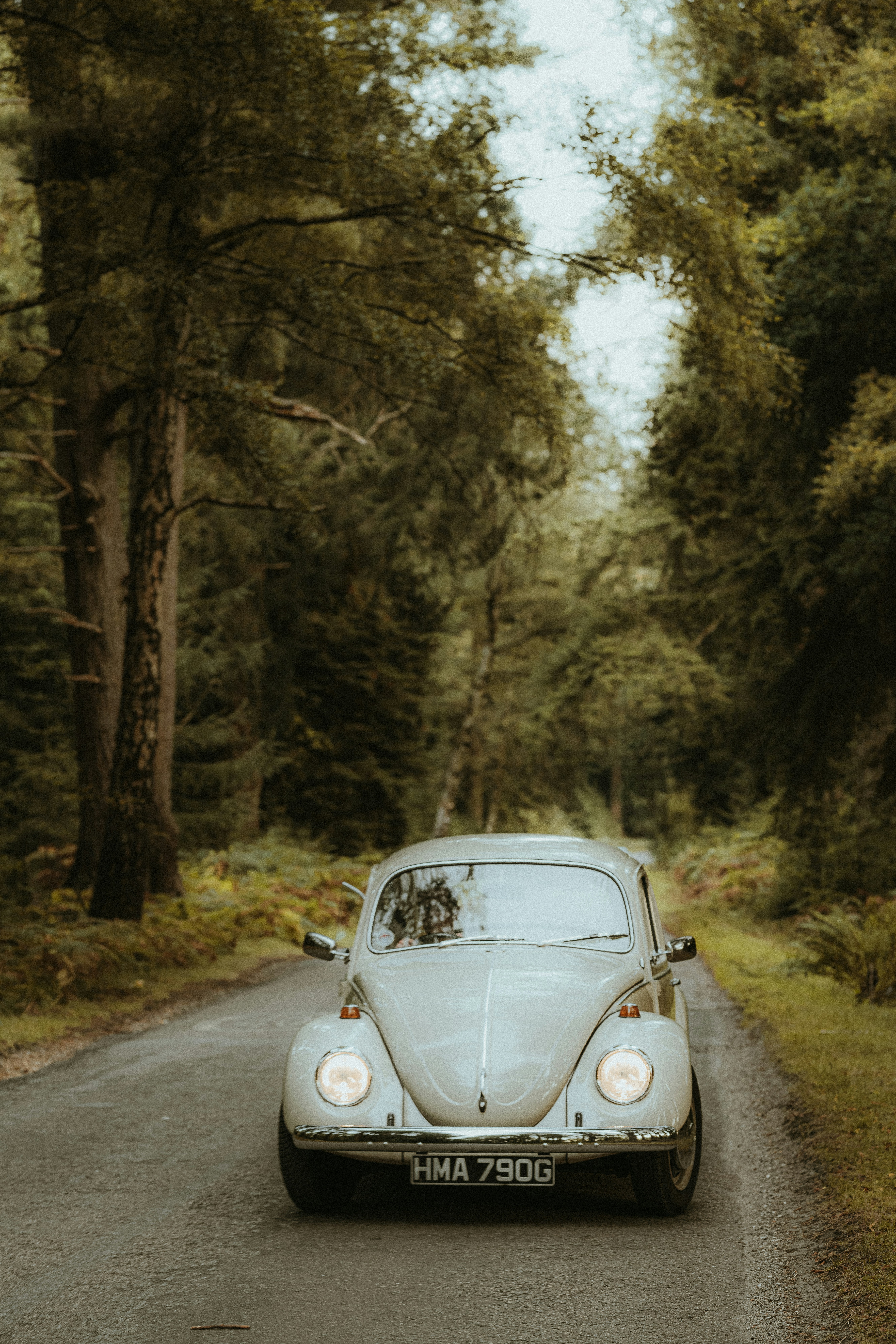 Photo by anniespratt