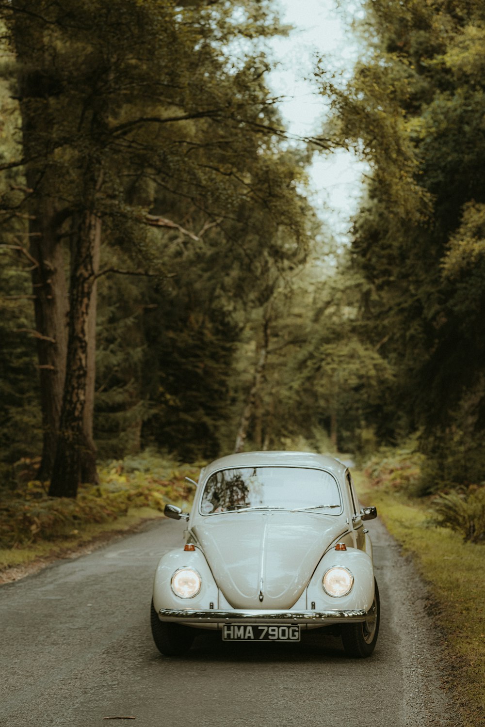 a white car driving down a road next to a forest