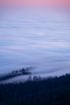 A serene landscape featuring a misty forest at dawn.
