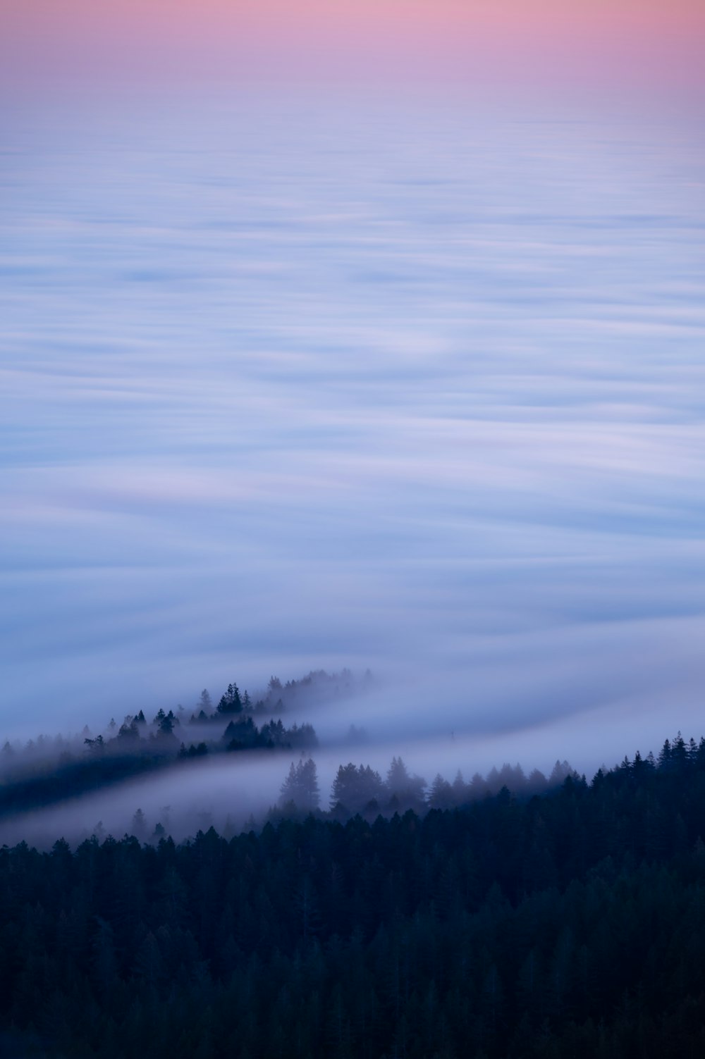 a view of a foggy mountain with trees in the foreground