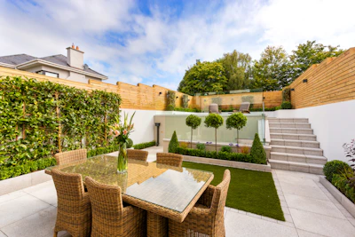How to Start a Terrace Garden in India — Complete Beginner Guide
