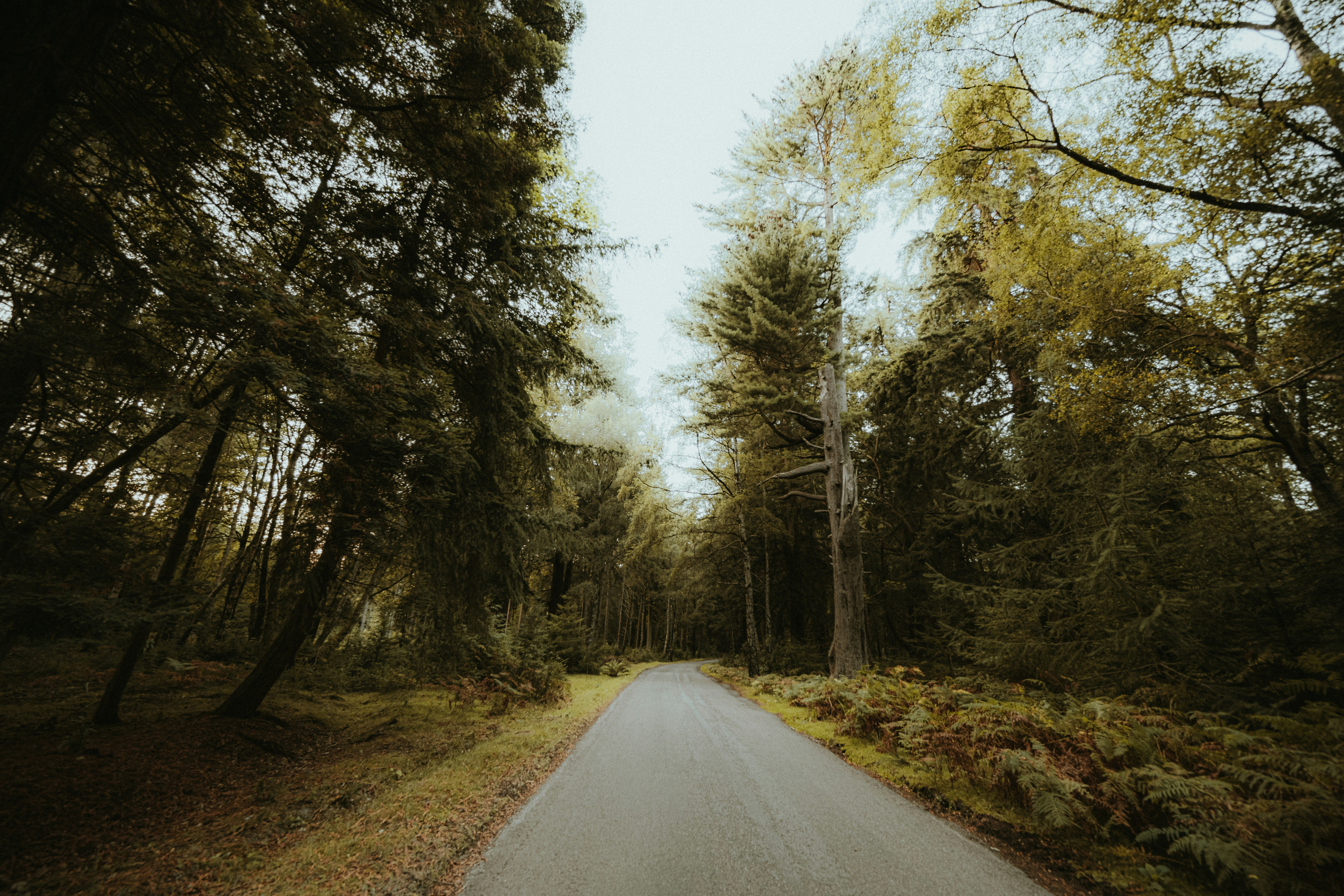 Photo by anniespratt