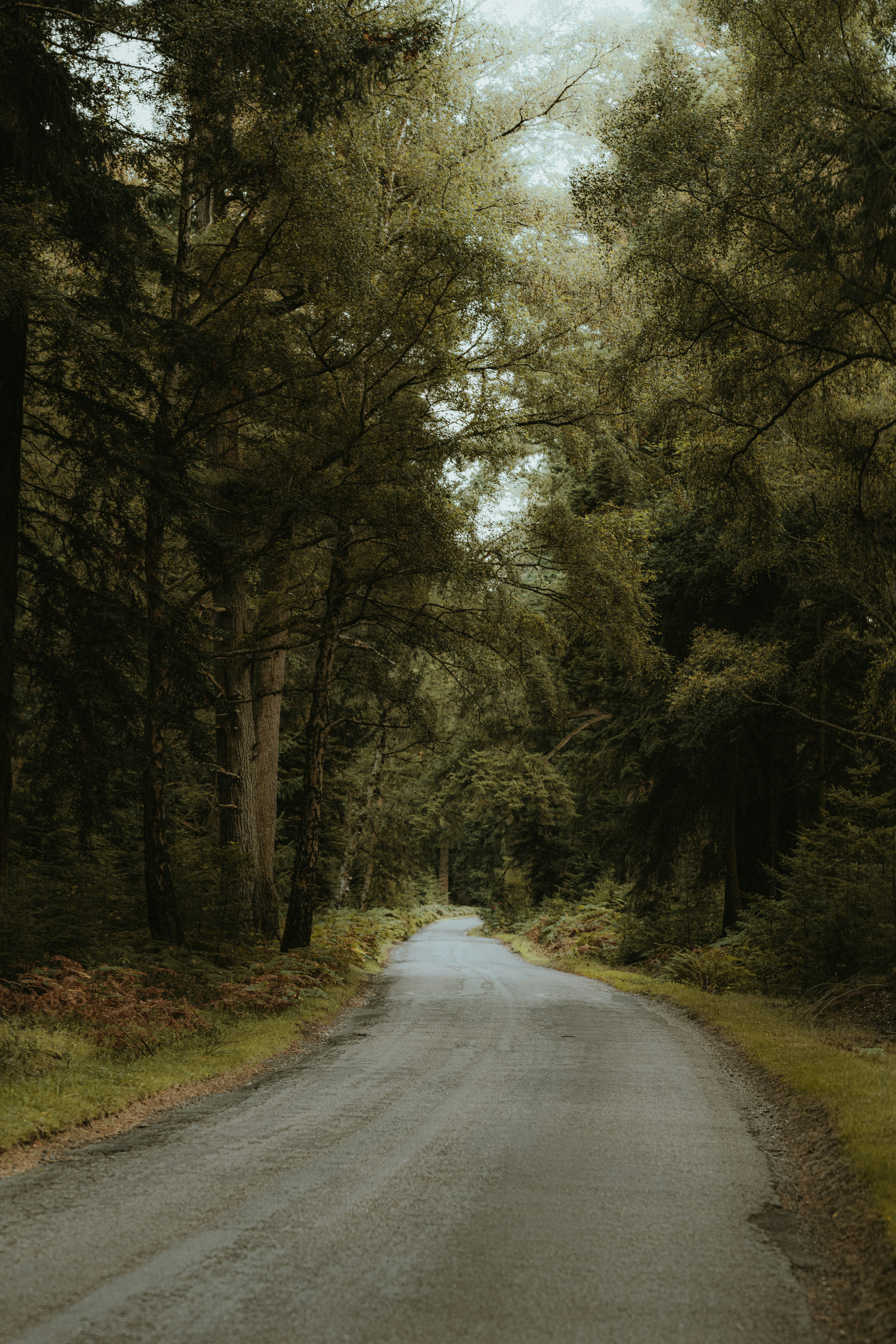 Photo by anniespratt