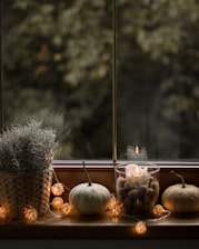 a window sill filled with pumpkins and a potted plant