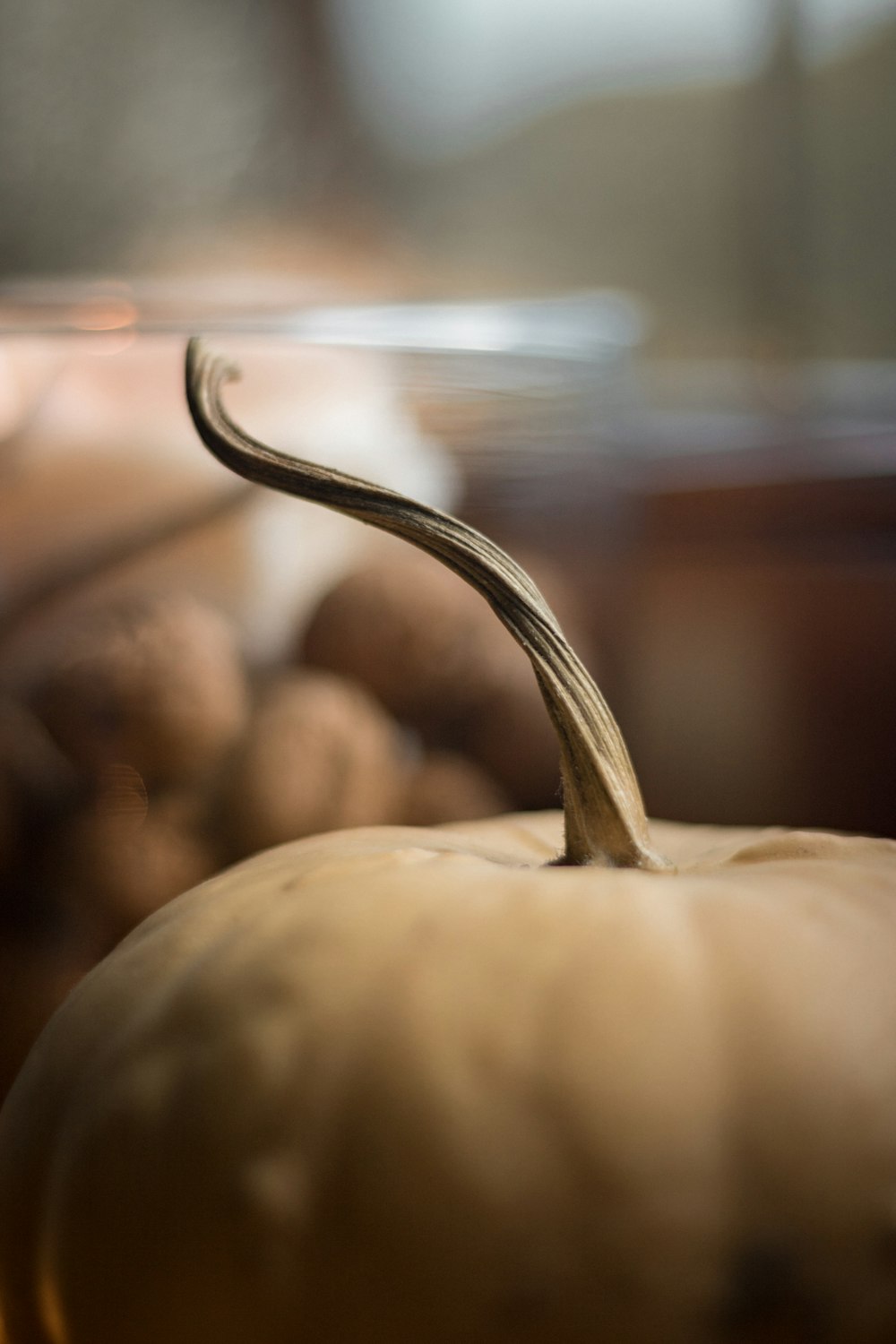 a close up of a pumpkin on a table