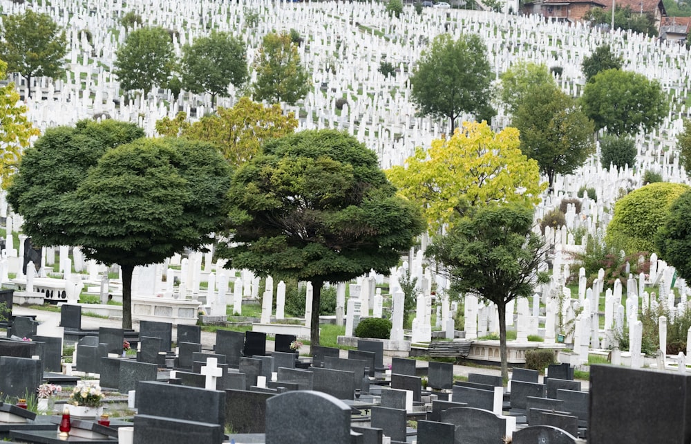 a cemetery filled with lots of headstones and trees