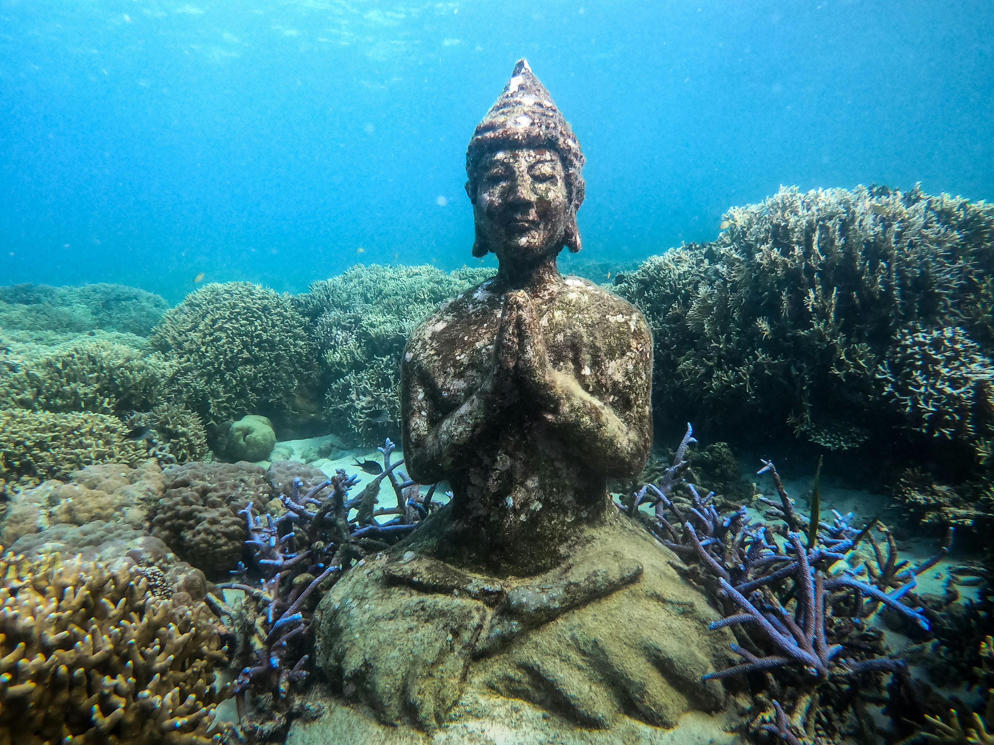a statue of a person sitting in the middle of a coral reef