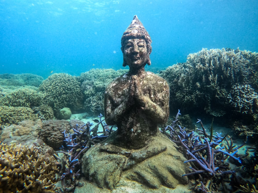 a statue of a person sitting in the middle of a coral reef