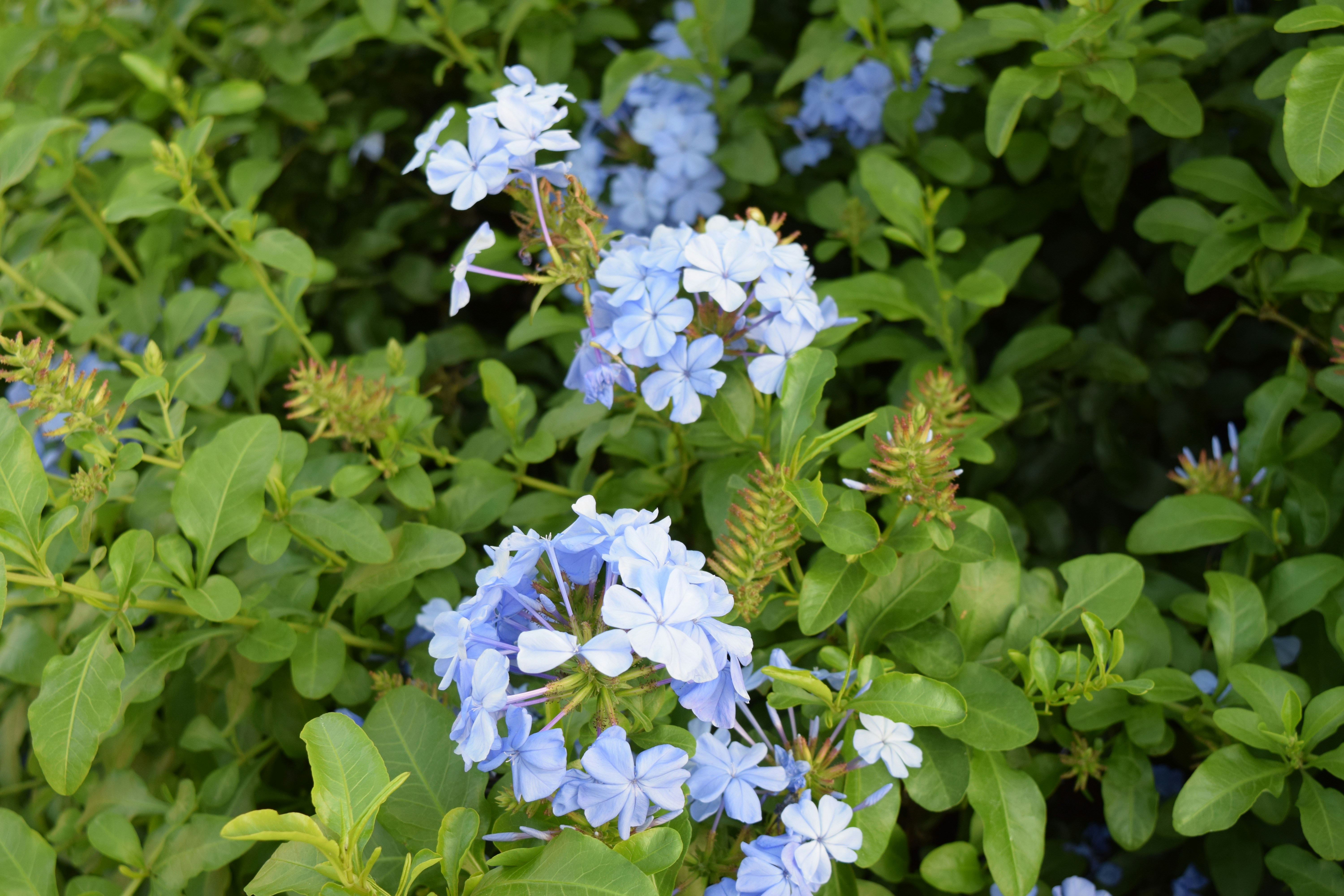 Photo by jannel_ivory