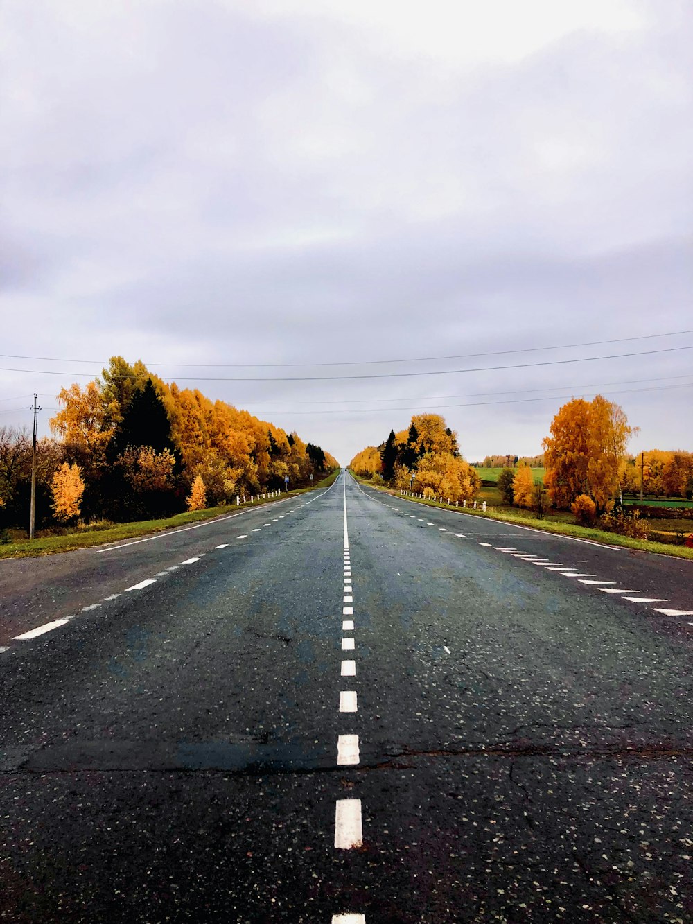 an empty road with a line of trees in the background