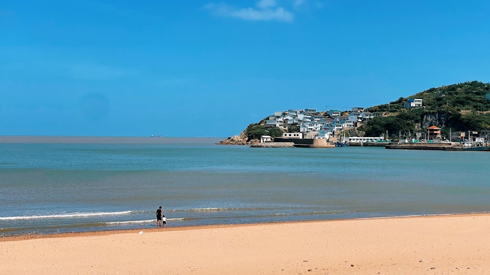 a person standing on a beach next to the ocean