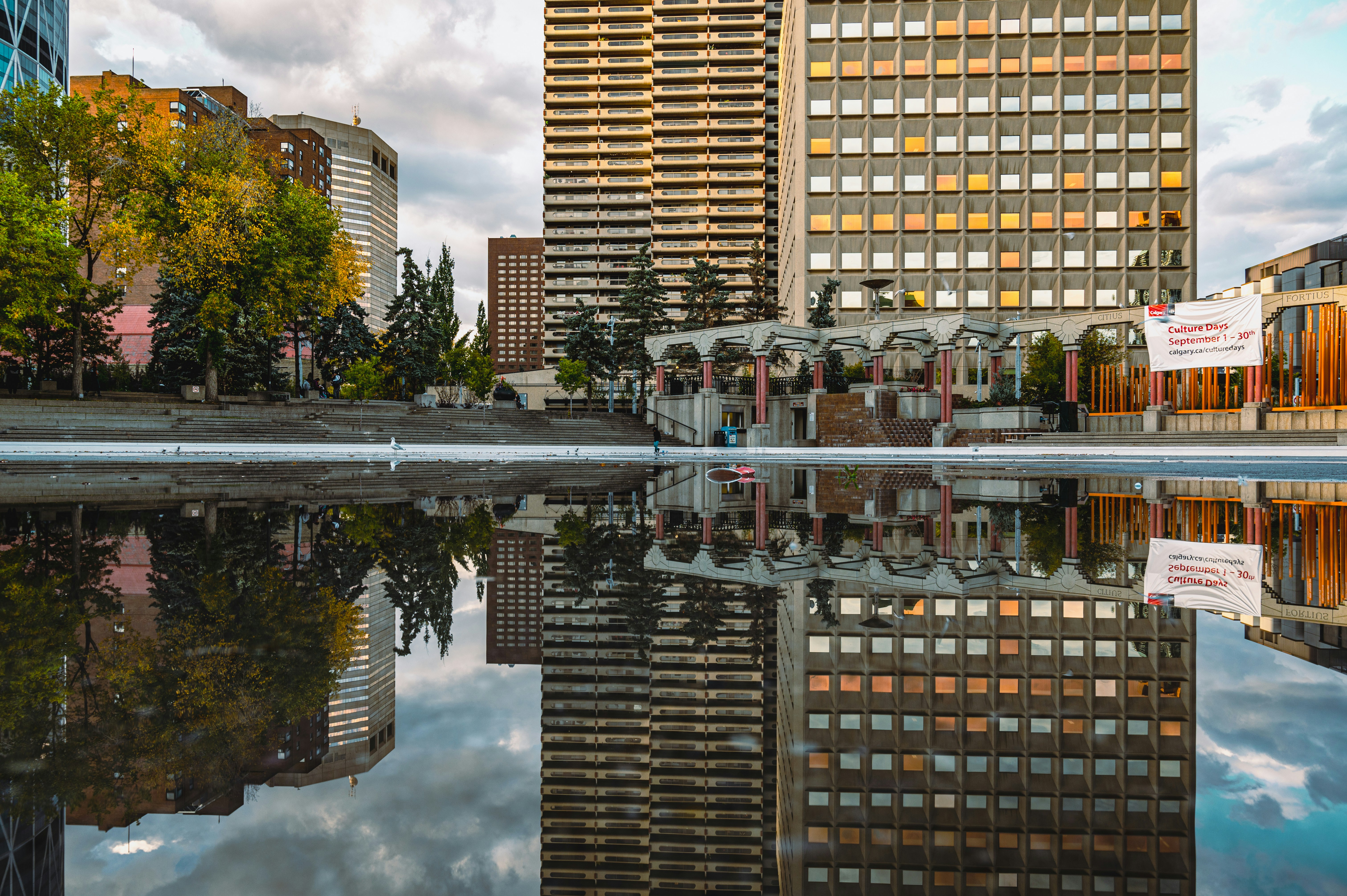 Photo by ryunosuke_kikuno