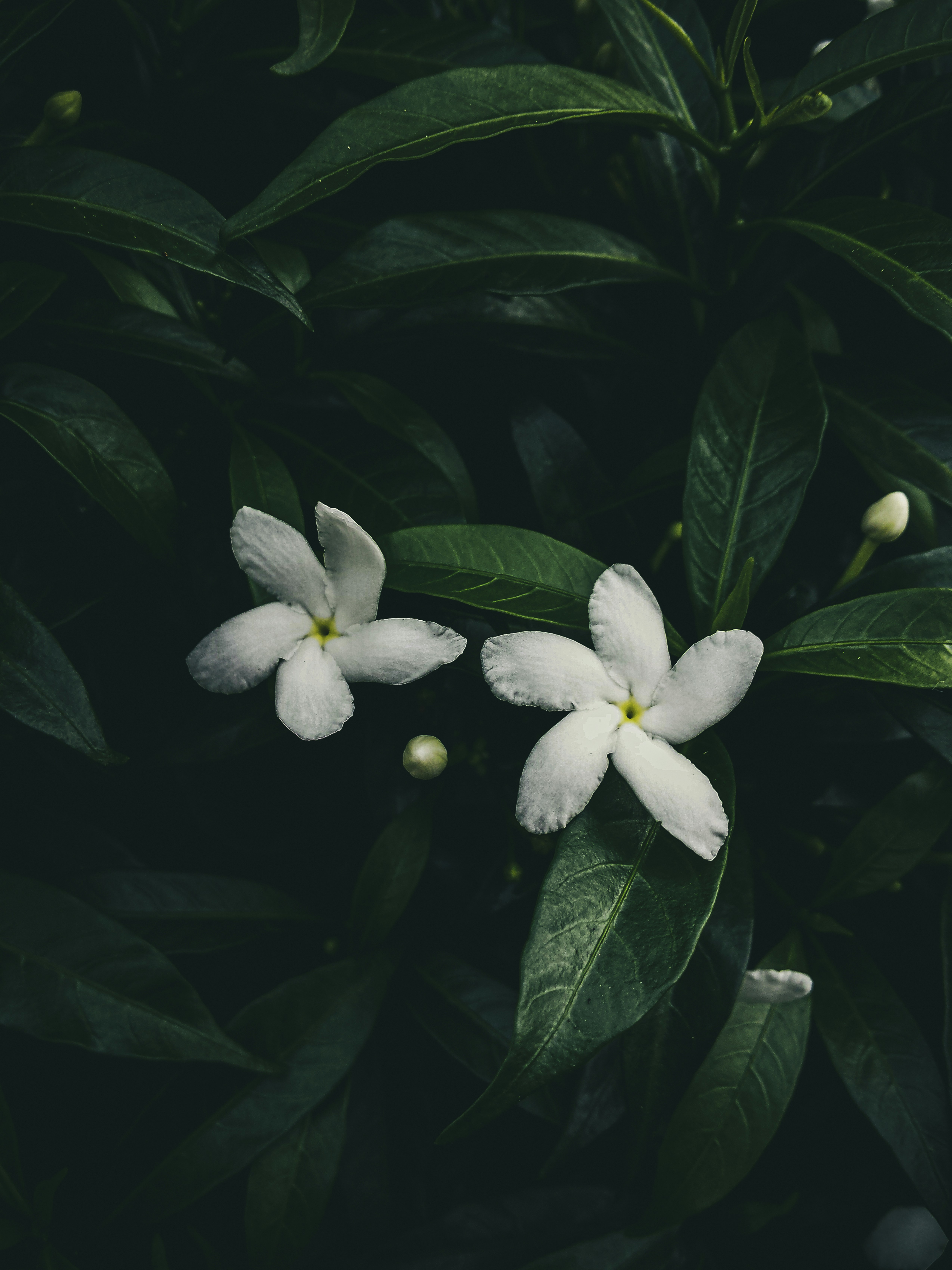 Photo by abhilashbalakrishnan97