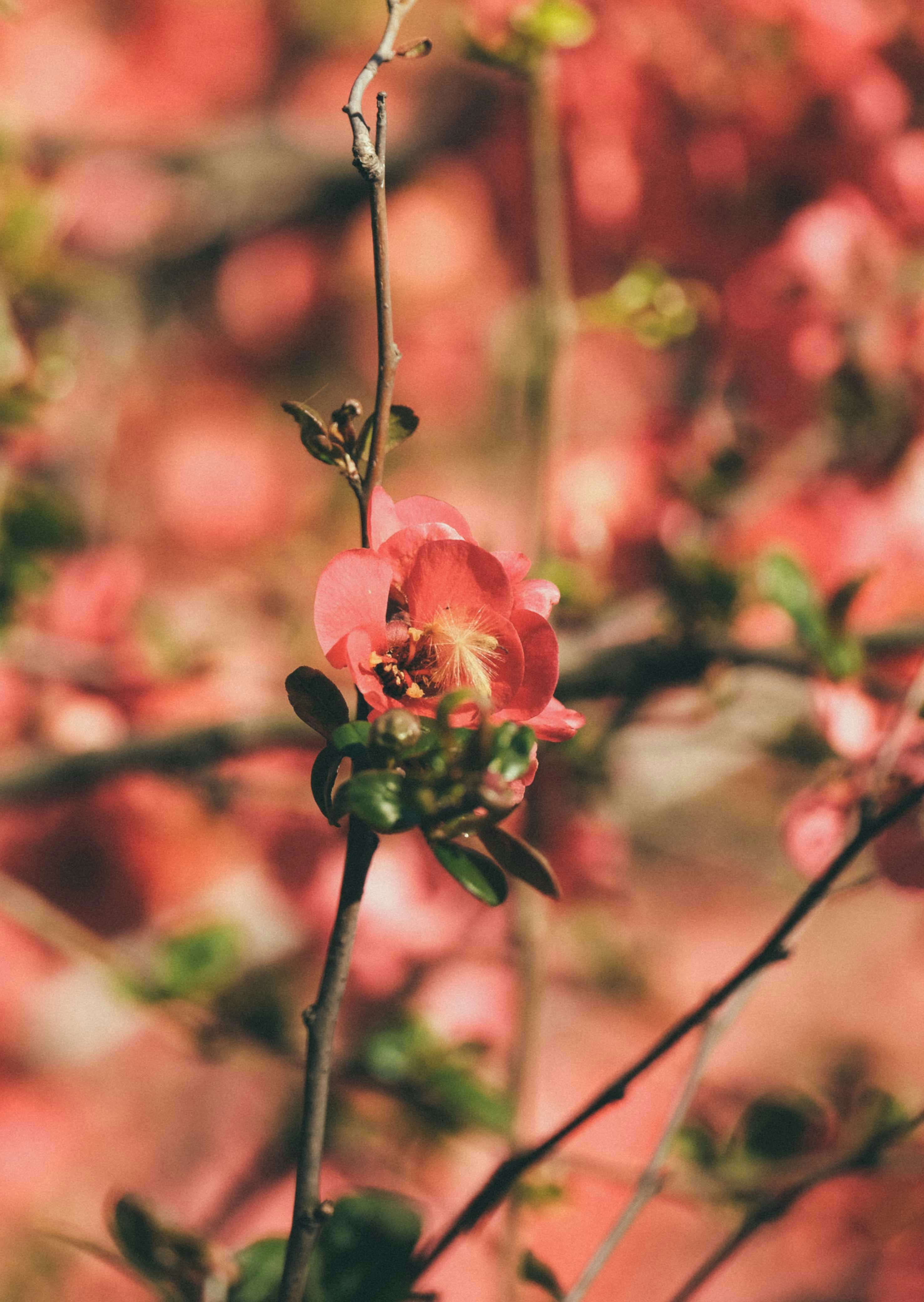 Photo by francesco_ungaro