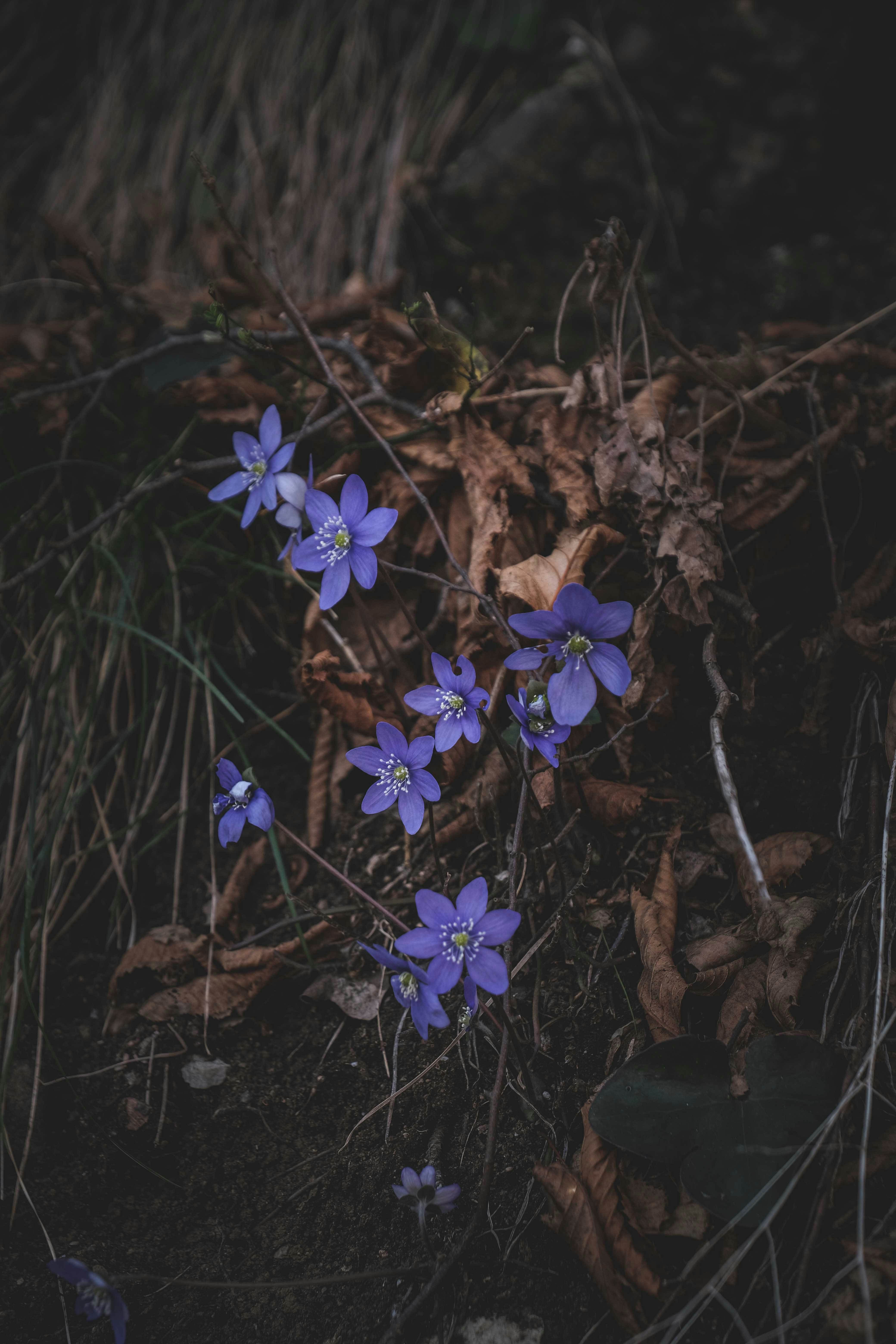 Photo by francesco_ungaro