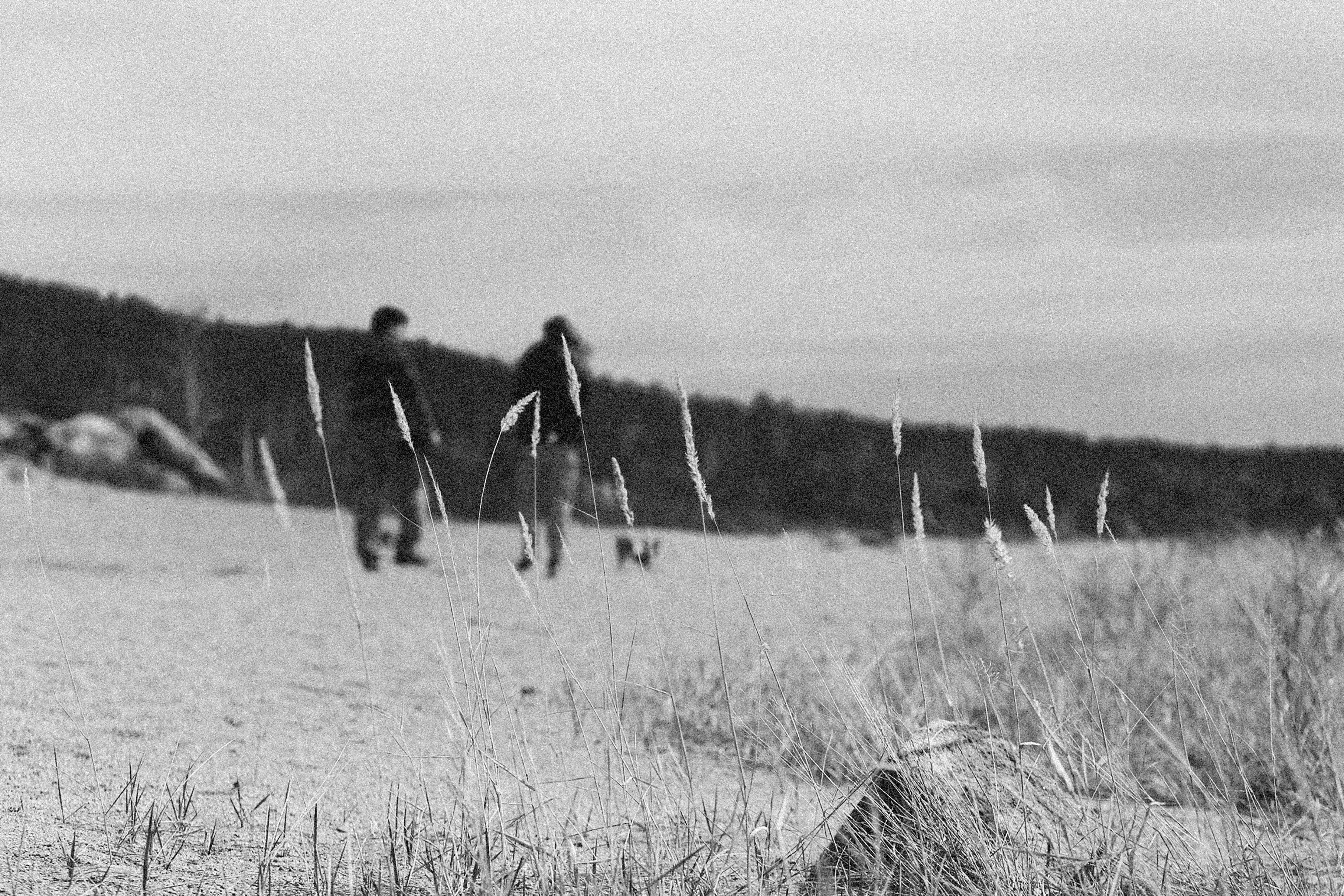 Photo by alexeydemidov