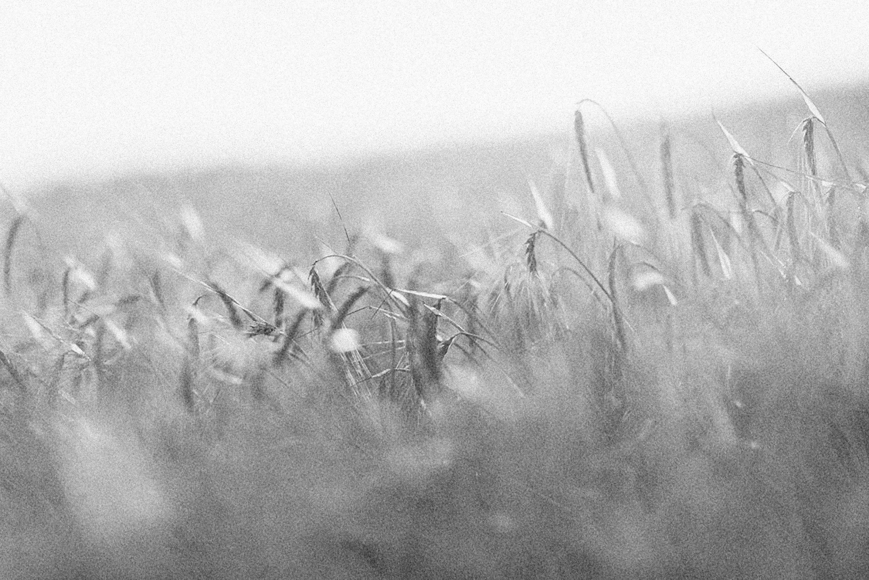 Photo by alexeydemidov