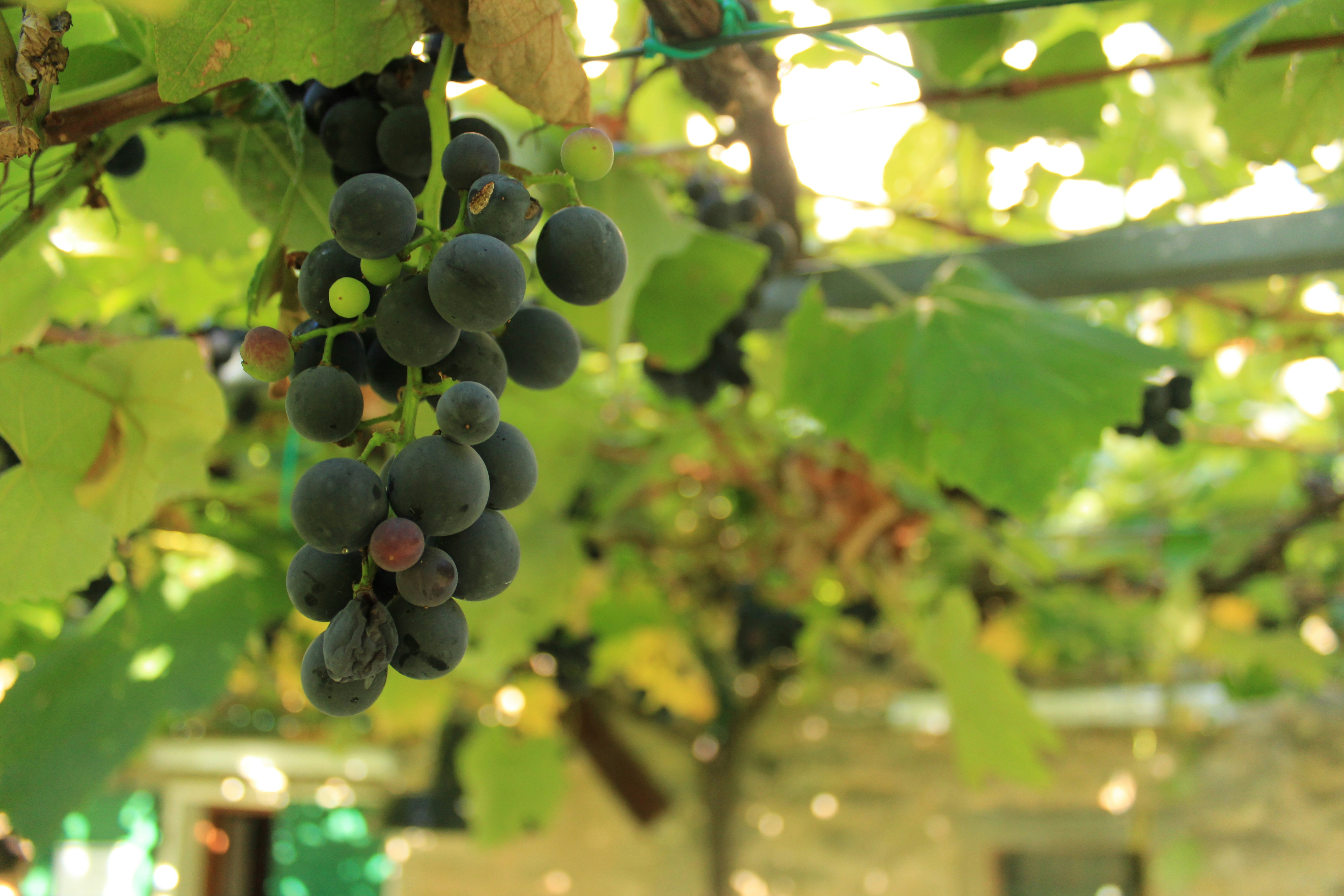 Photo by mattia_poli_04