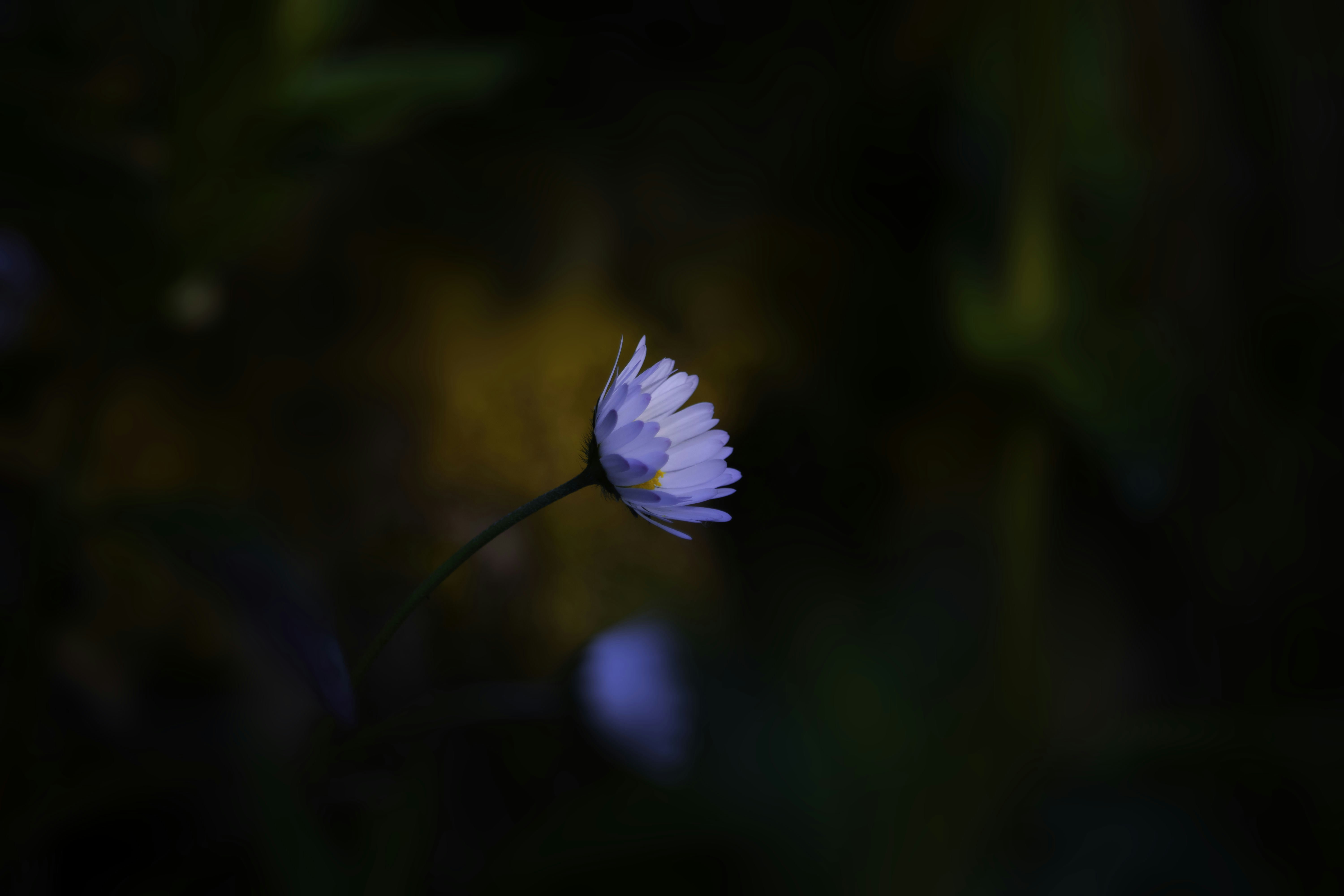 Photo by patunsplash9