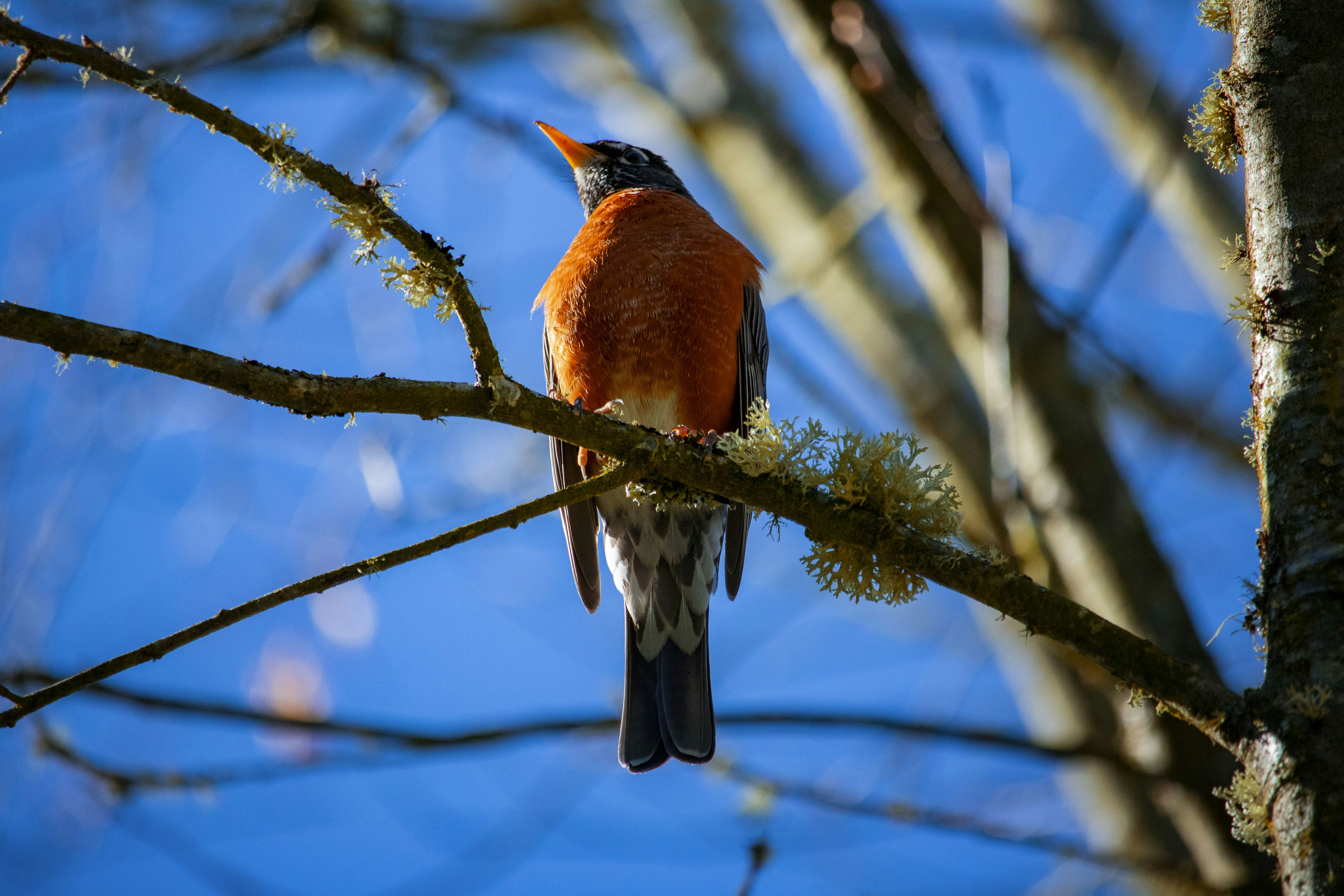 Photo by patunsplash9